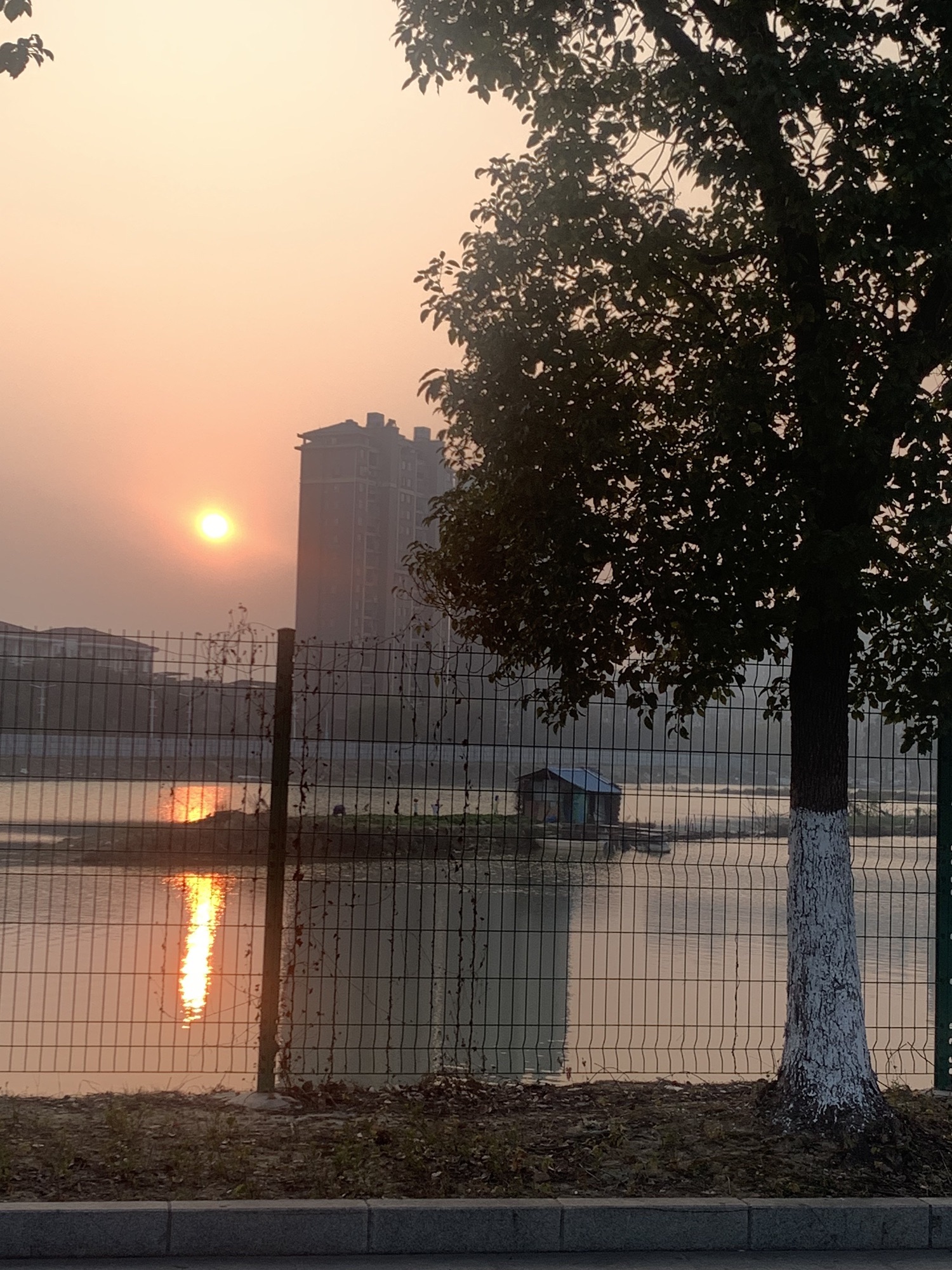 象湖南湿地公园旅行图片 3
