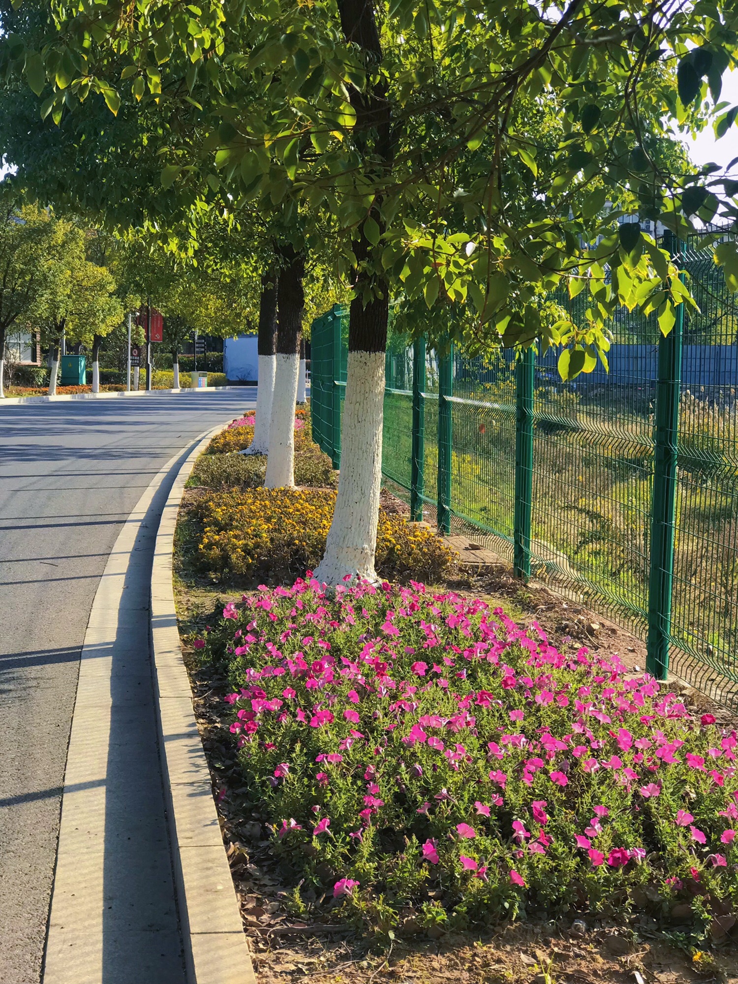 象湖南湿地公园旅行图片 1