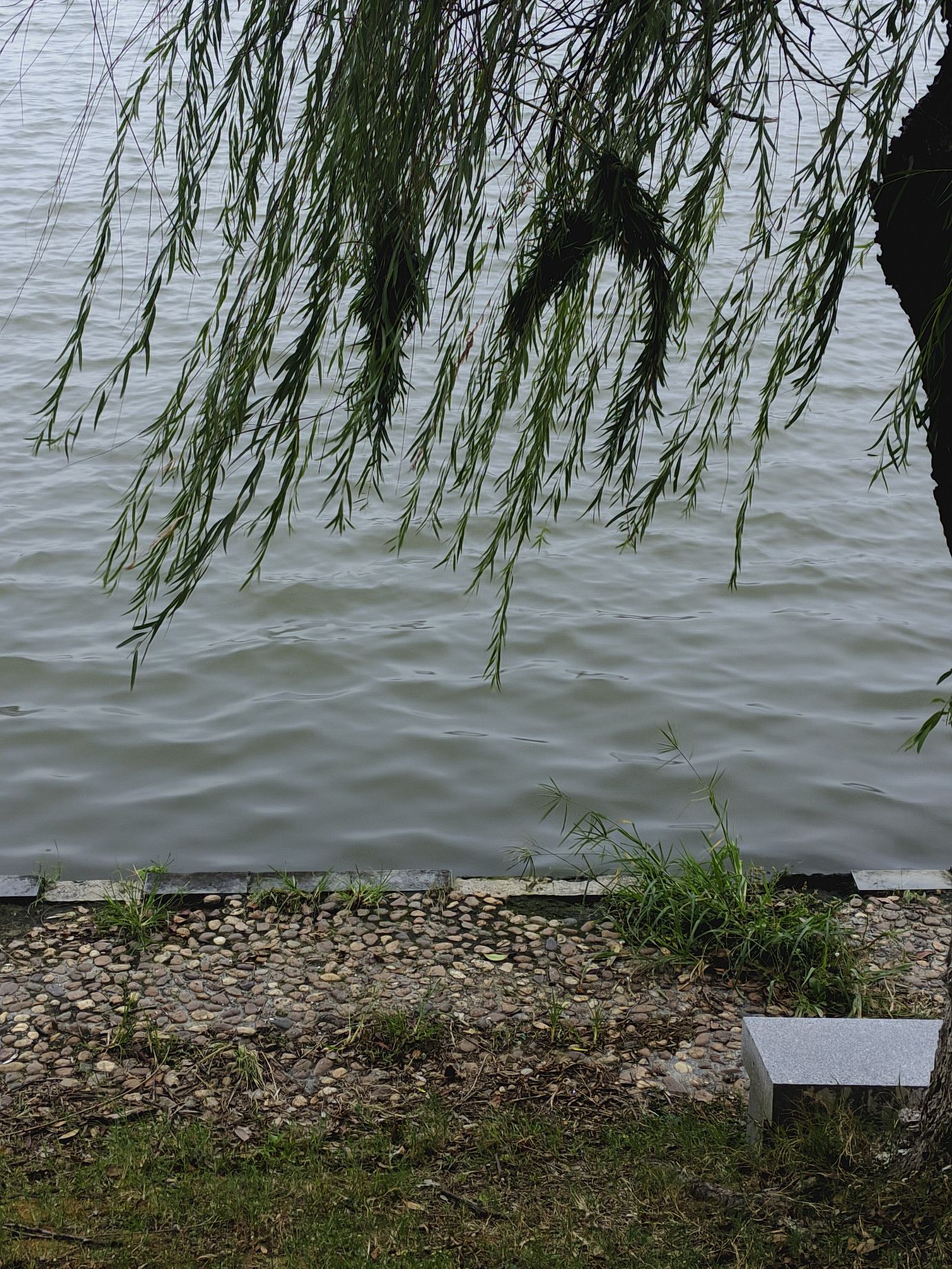 象湖南湿地公园旅行图片 3