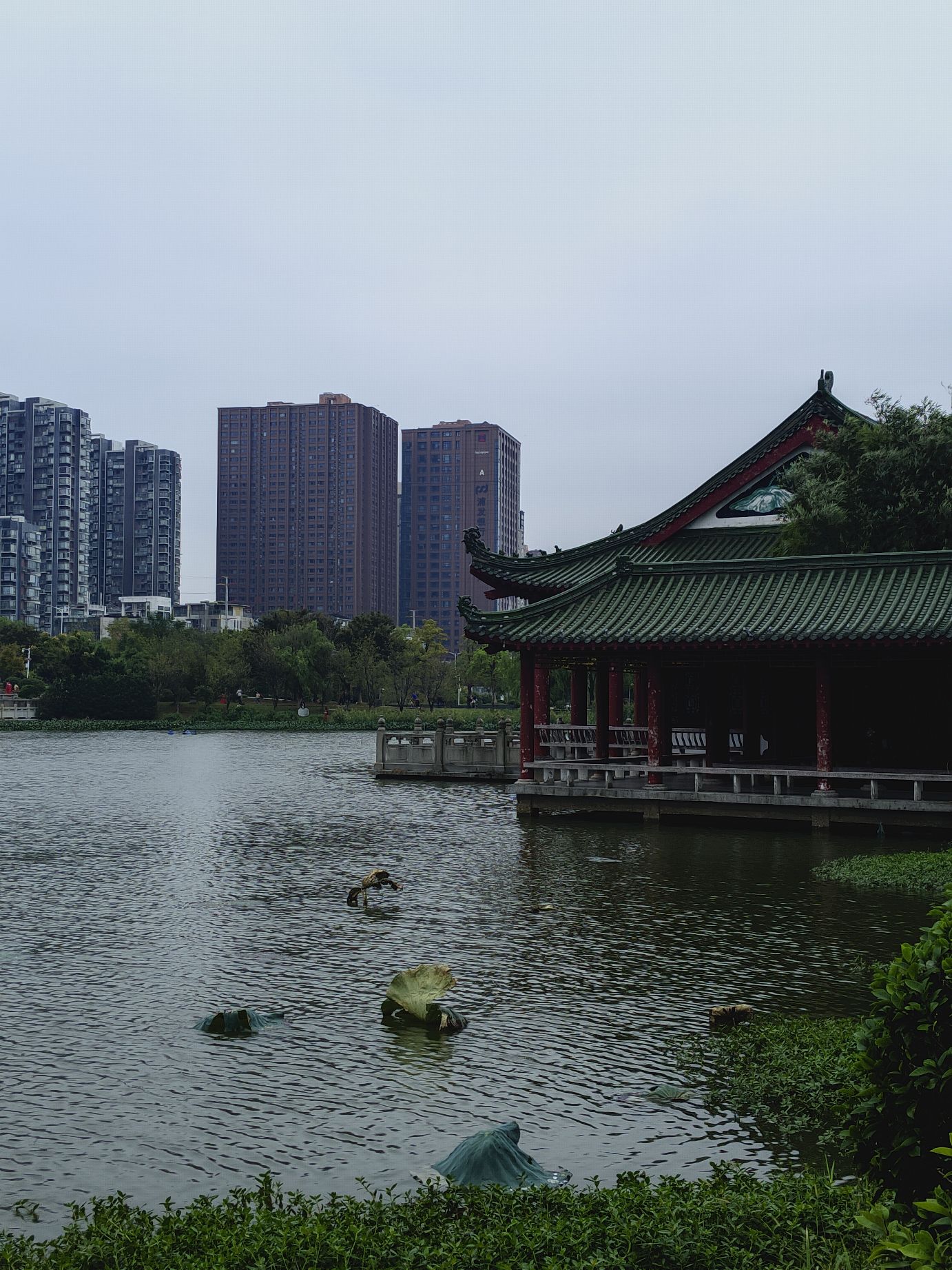 象湖南湿地公园旅行图片 2