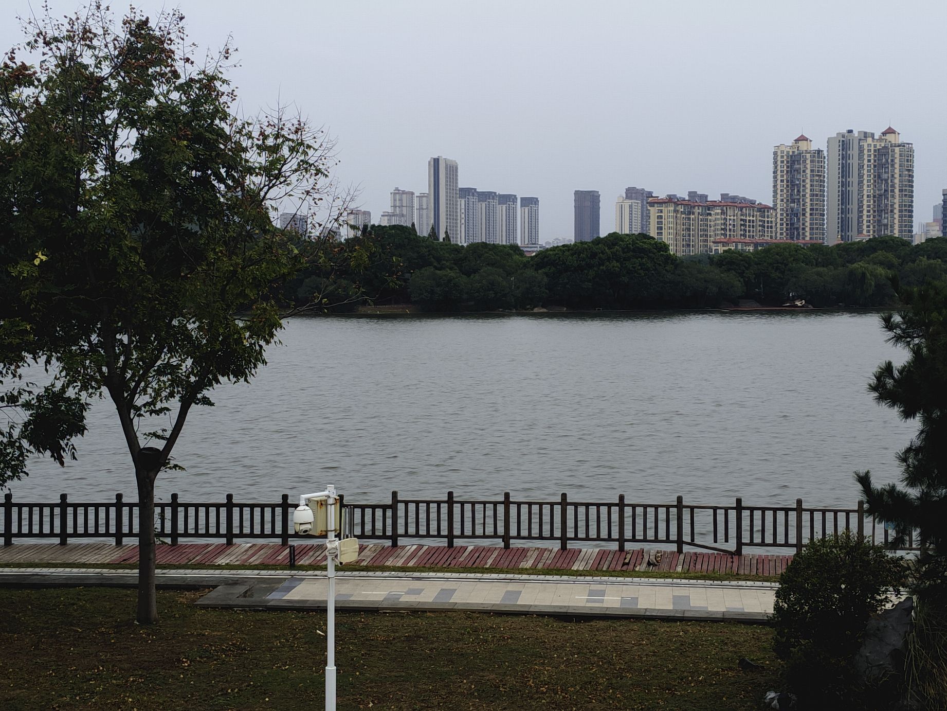 象湖南湿地公园旅行图片 1