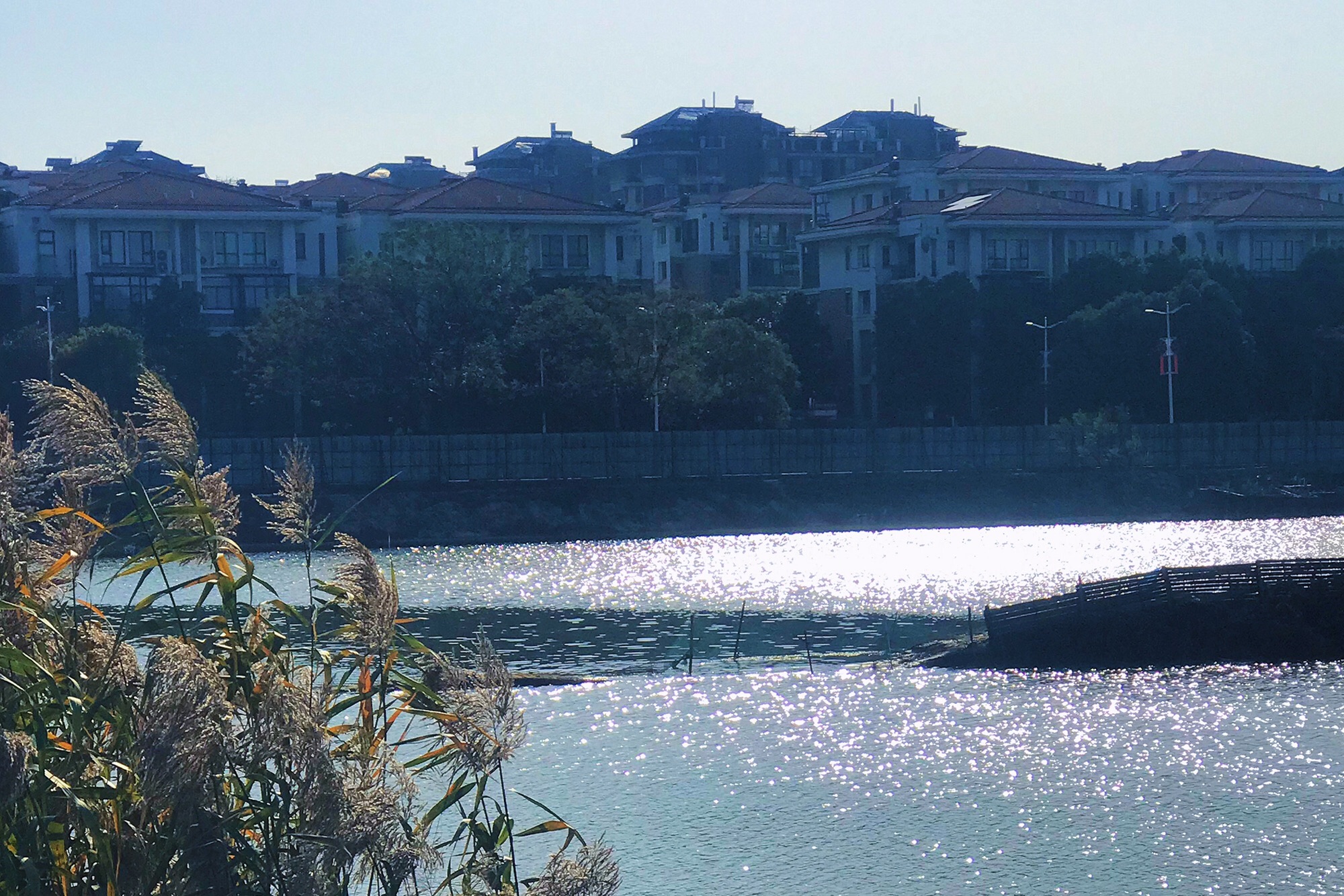 象湖南湿地公园旅行图片 3