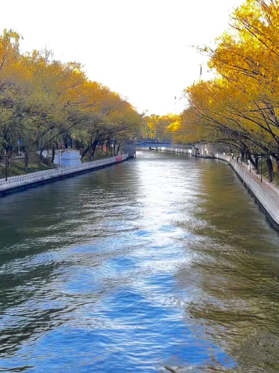 南长河公园旅行图片 1