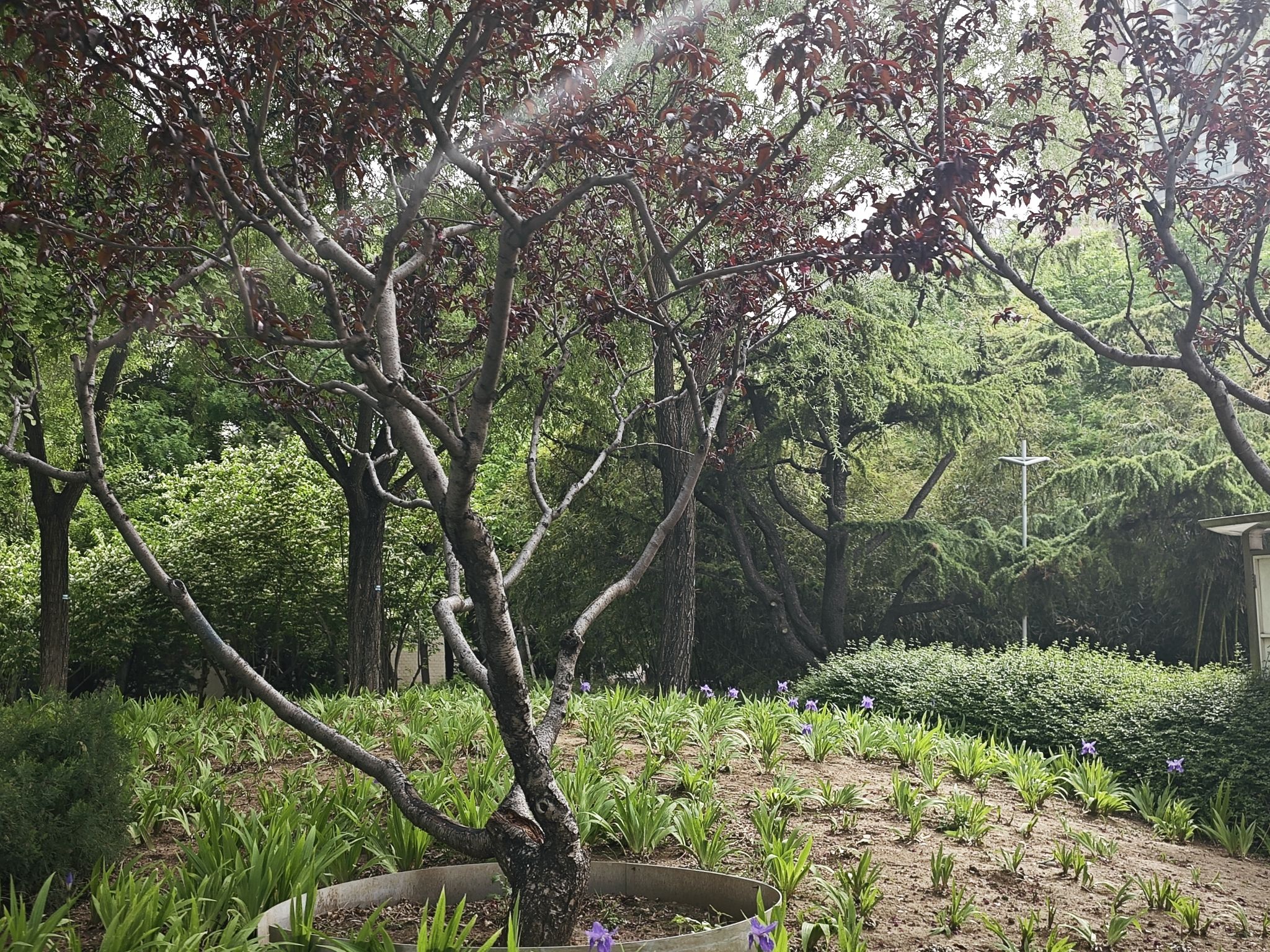 南长河公园旅行图片 3