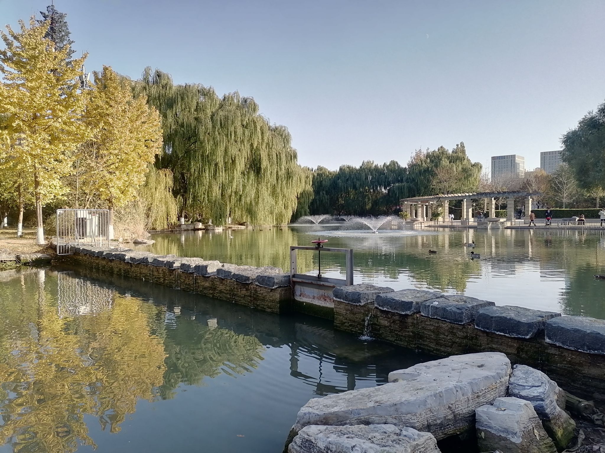 西局玉璞园旅行图片 1