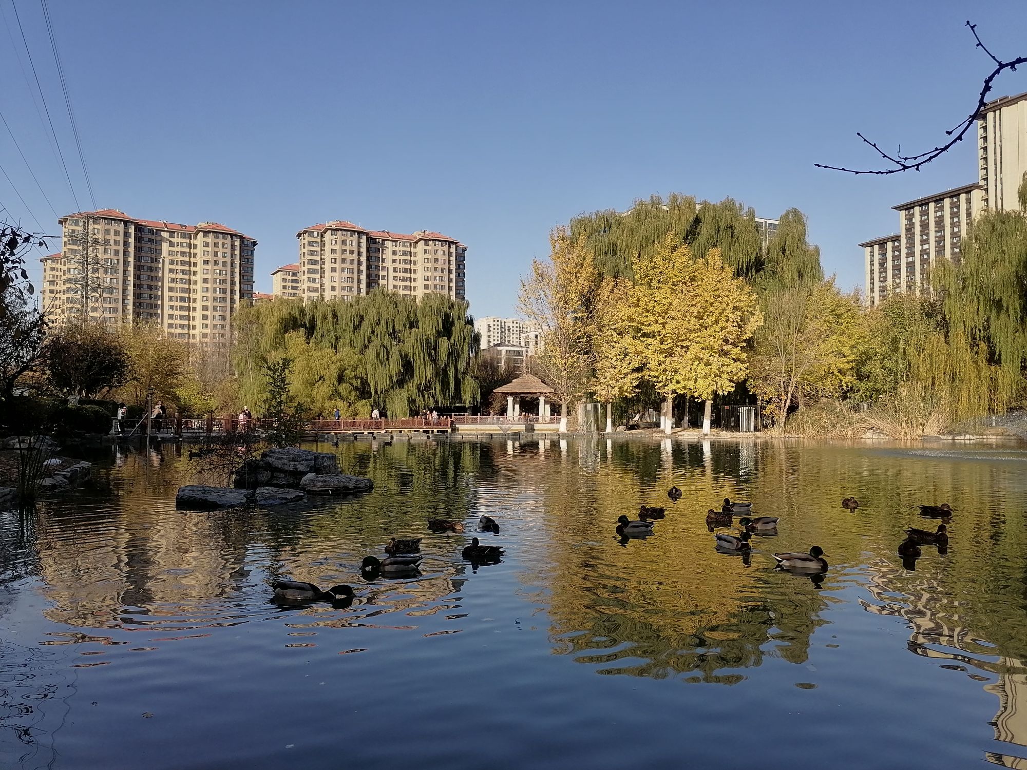 西局玉璞园旅行图片 2