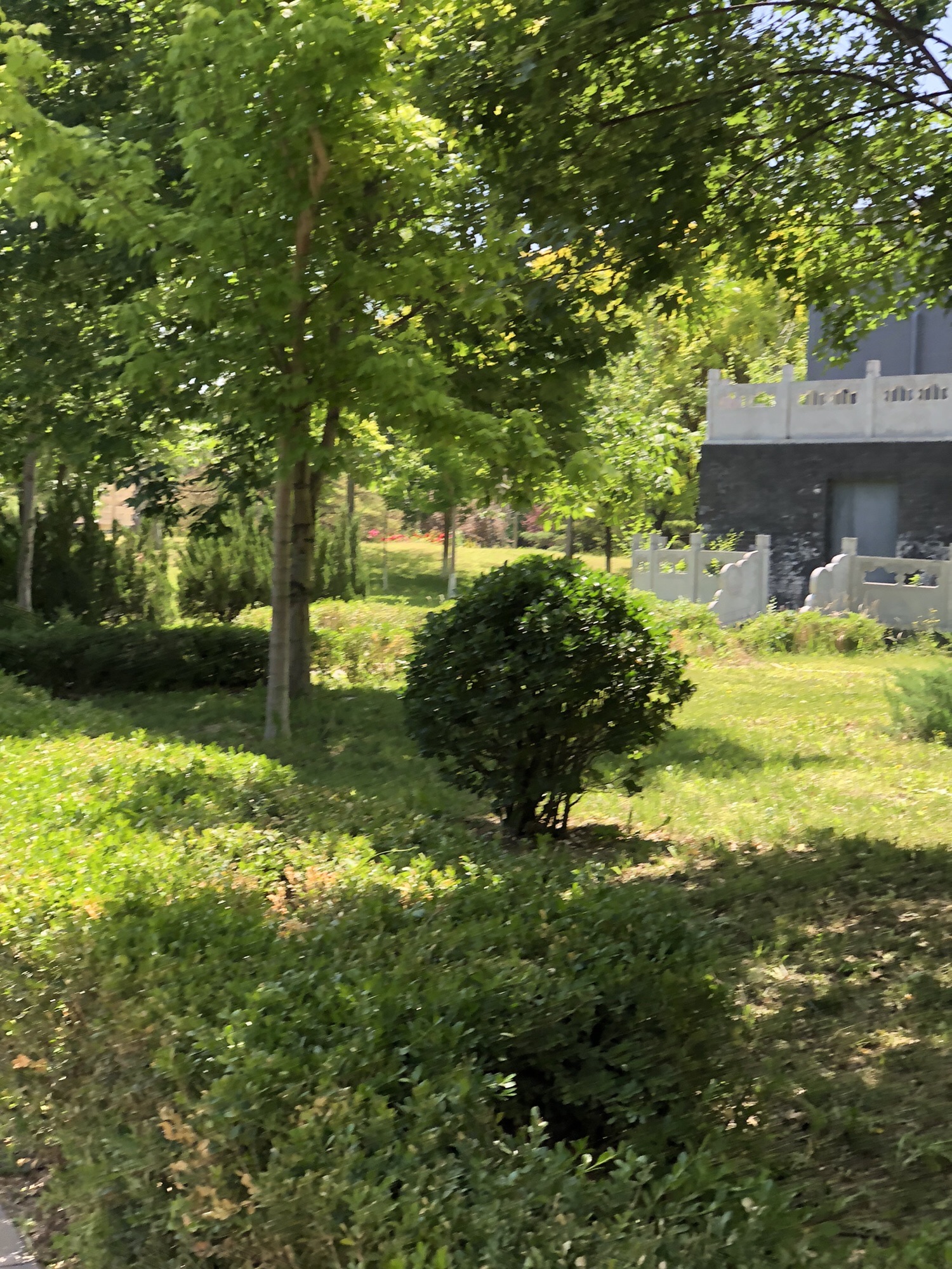 西局玉璞园旅行图片 2