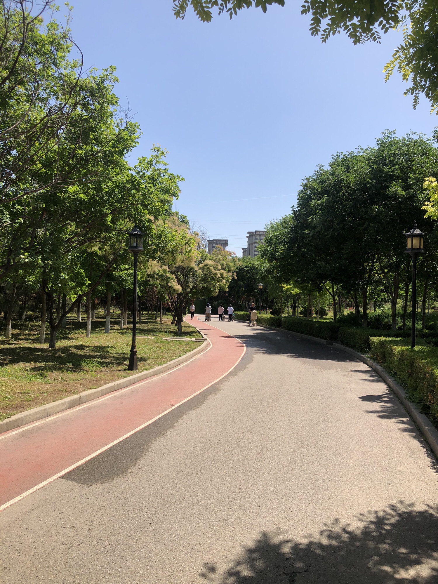 西局玉璞园旅行图片 3
