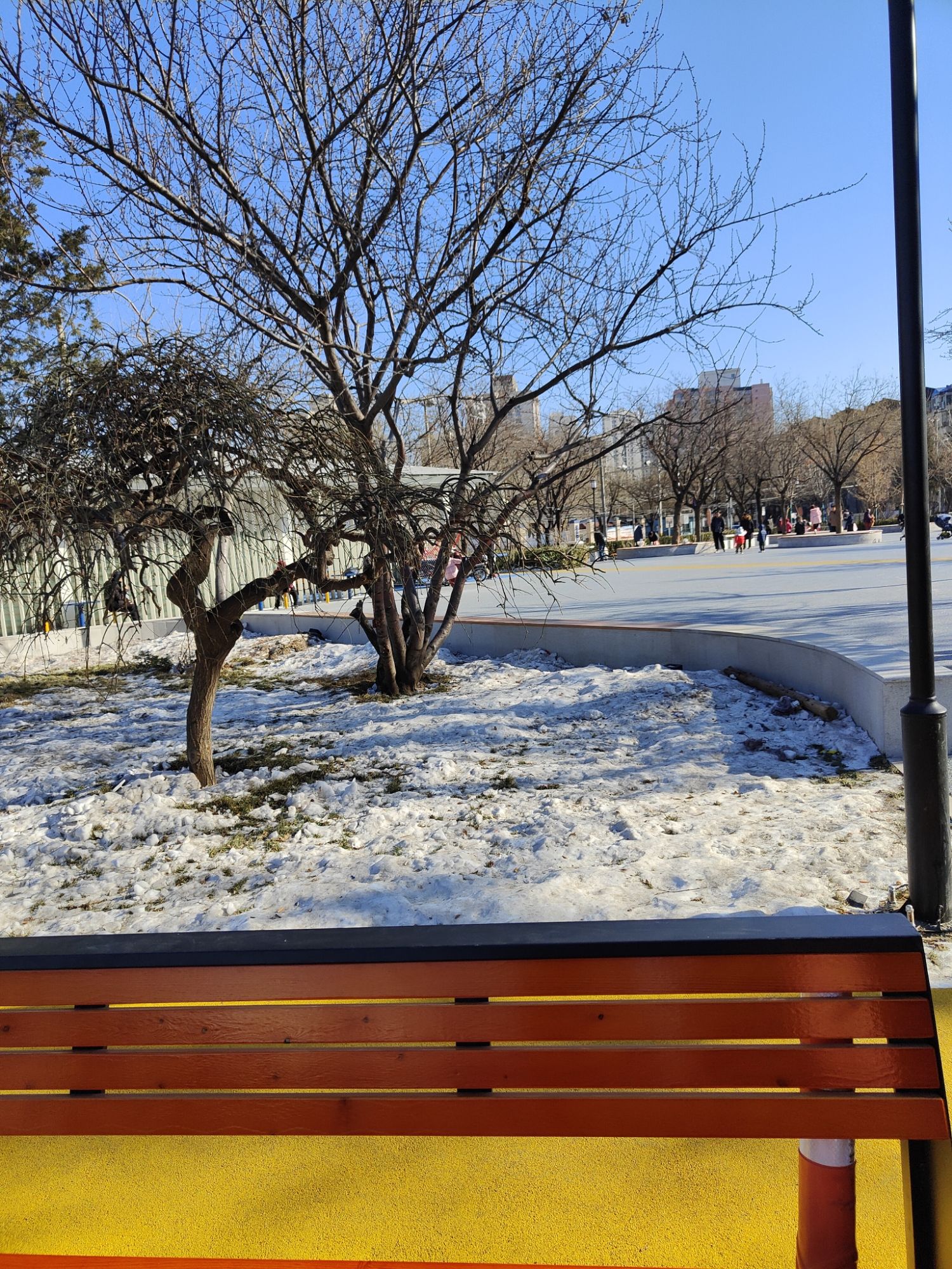 青塔街心广场旅行图片 3