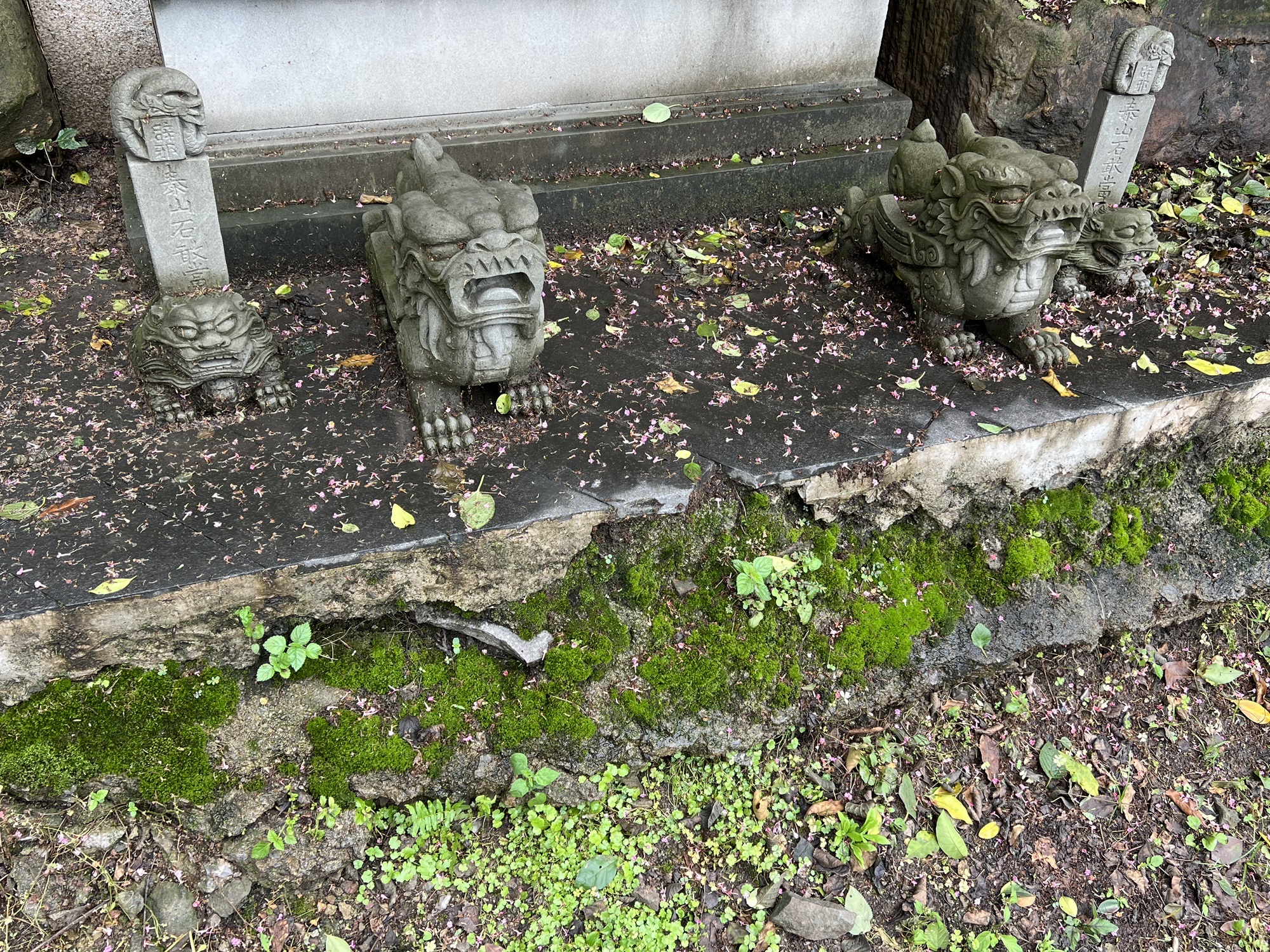 沙湾河街水文题刻旅行图片 3
