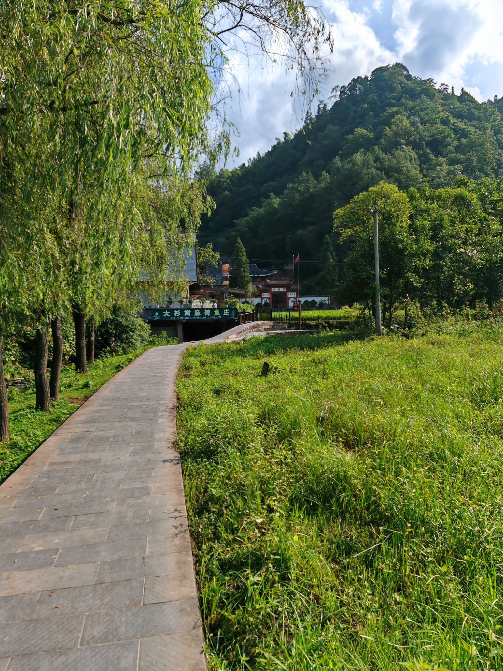 习水国家森林公园旅行图片 1
