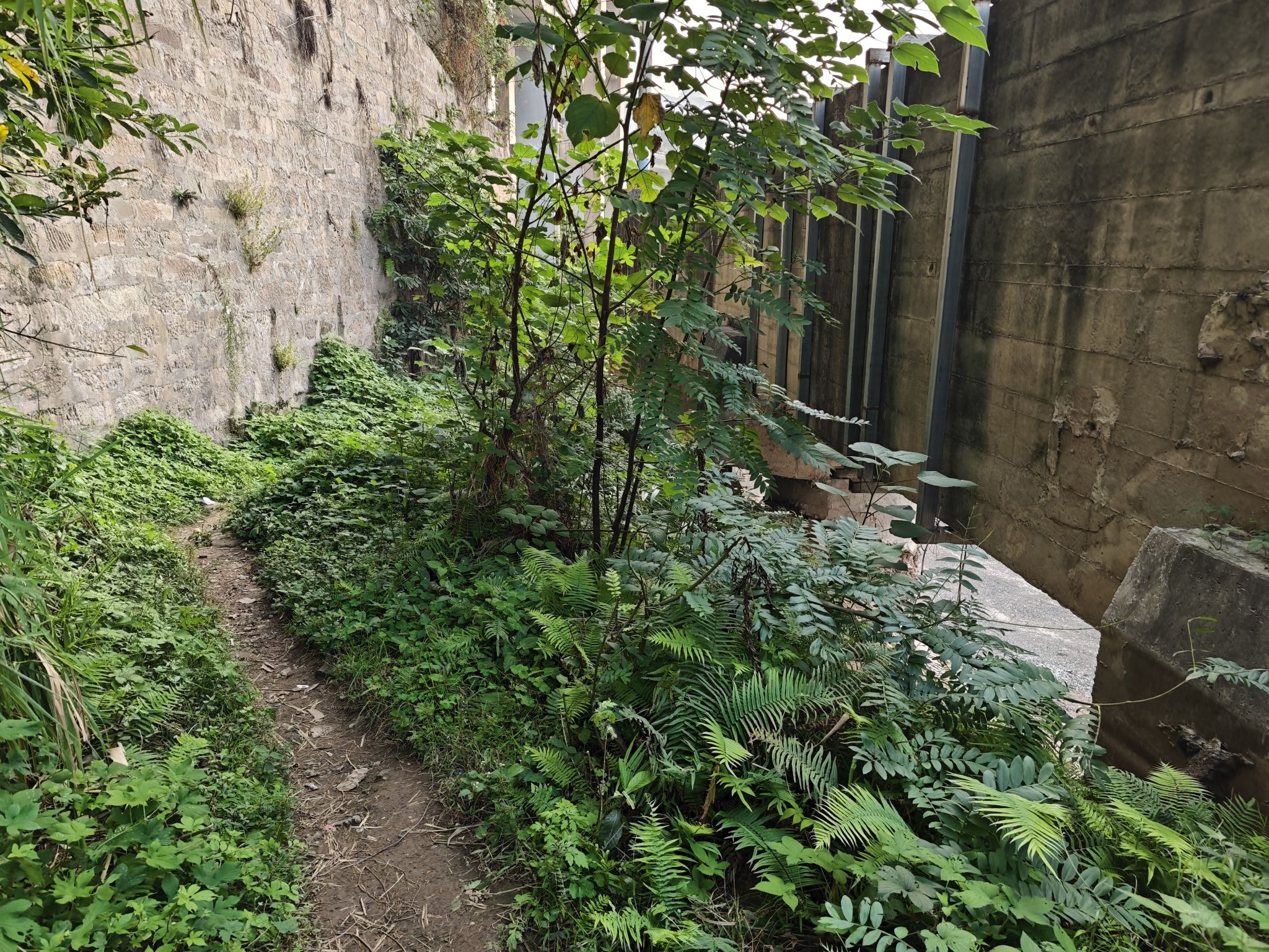 牛角沱滨水公园旅行图片 2