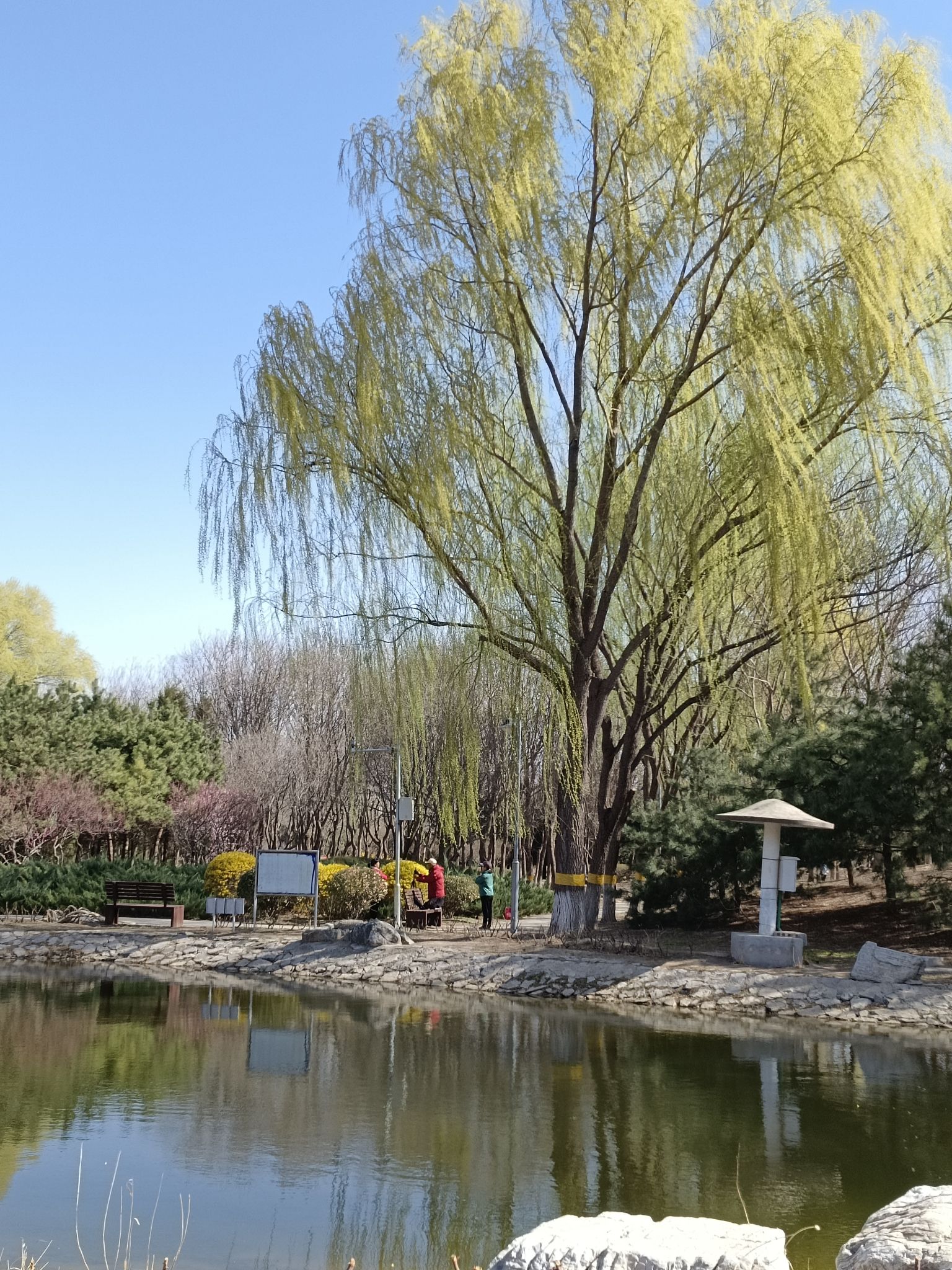 东升八家山地车公园旅行图片 2