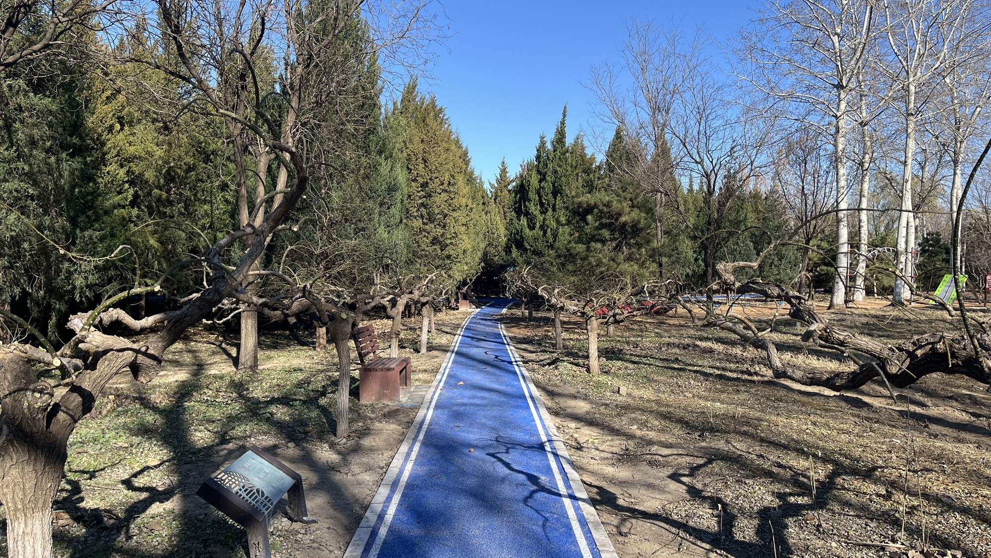 东升八家山地车公园旅行图片 2