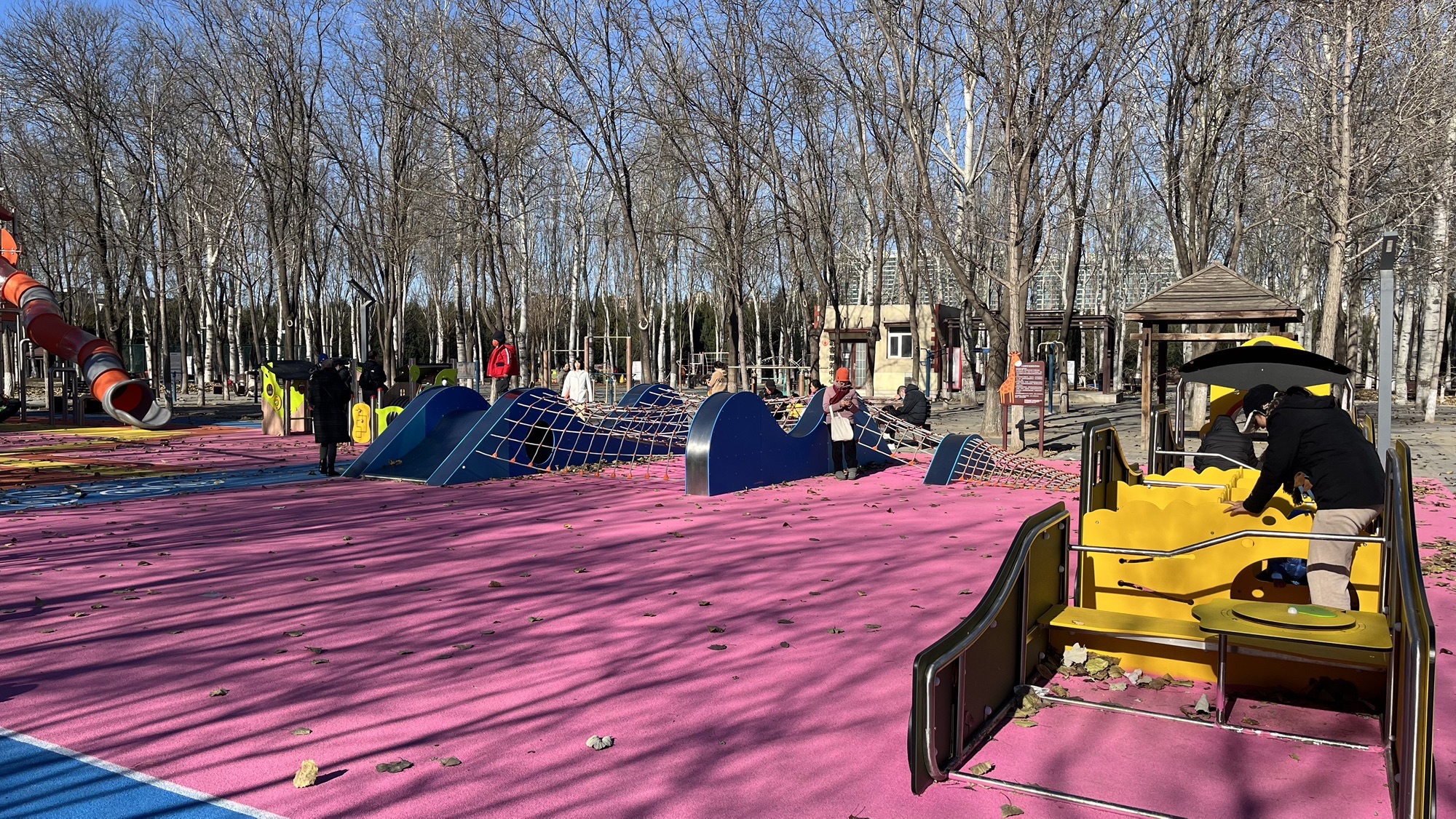 东升八家山地车公园旅行图片 1
