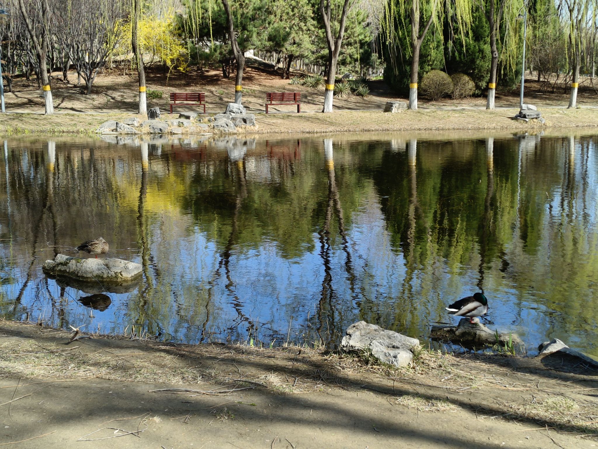 东升八家山地车公园旅行图片 3