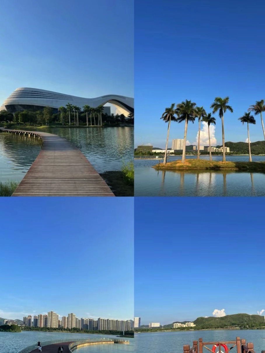 柳东公园旅行图片 3