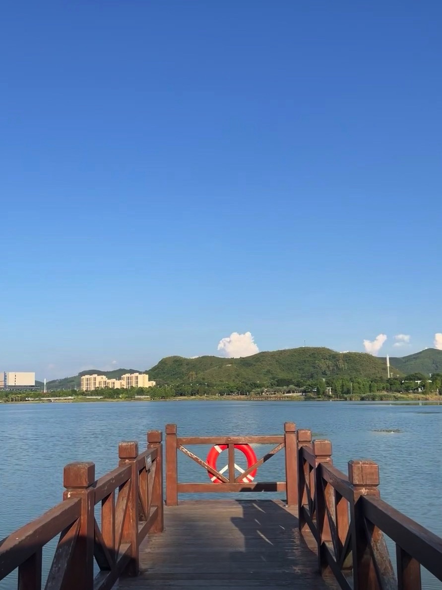 柳东公园旅行图片 2