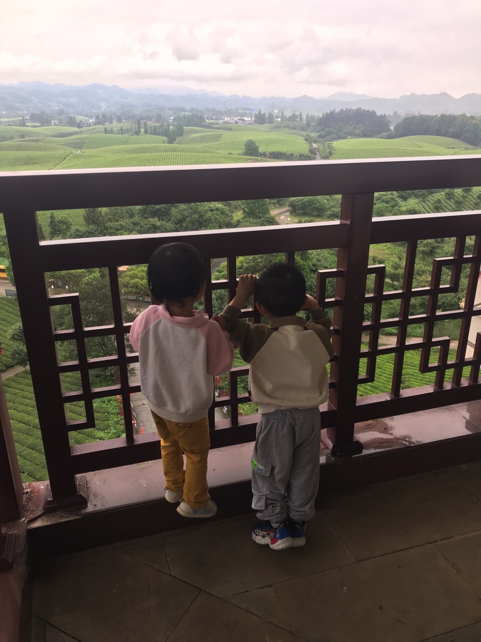 中国茶海景区旅行图片 1