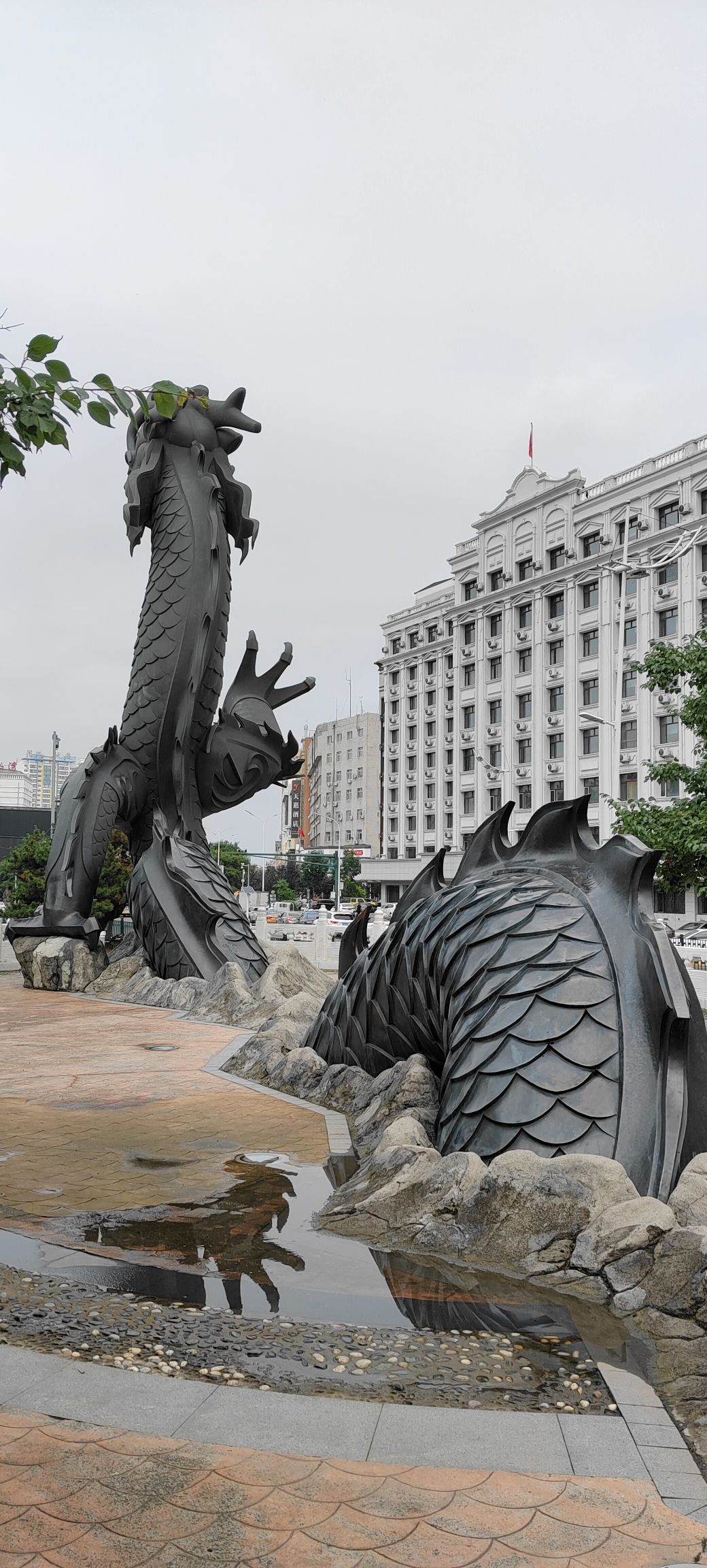 黑龙旅行图片 2