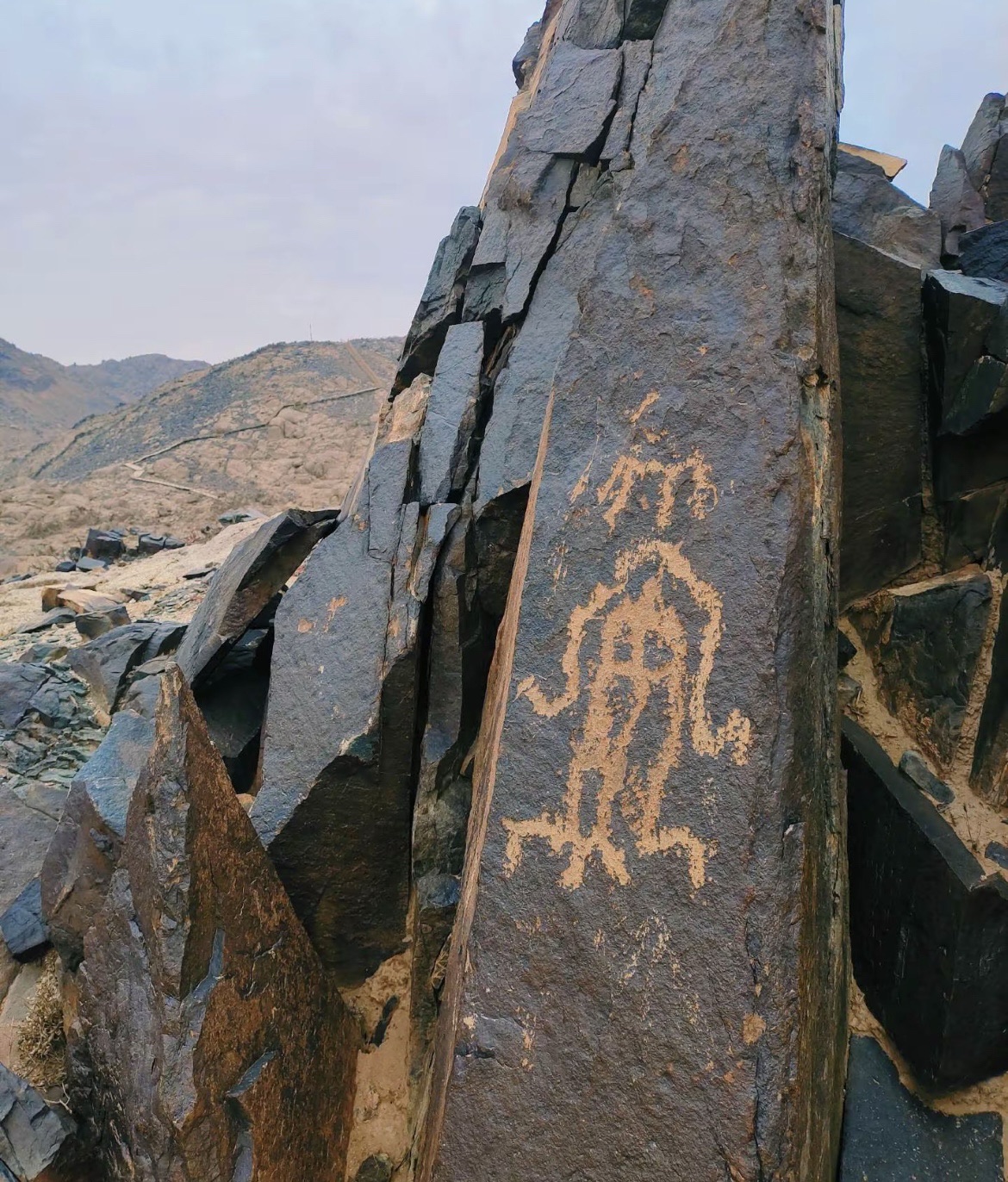 阿拉善右旗曼德拉山岩画景区旅行图片 2