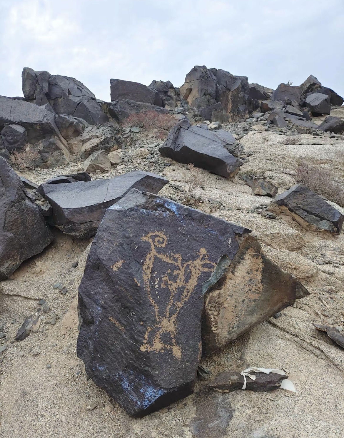 阿拉善右旗曼德拉山岩画景区旅行图片 1