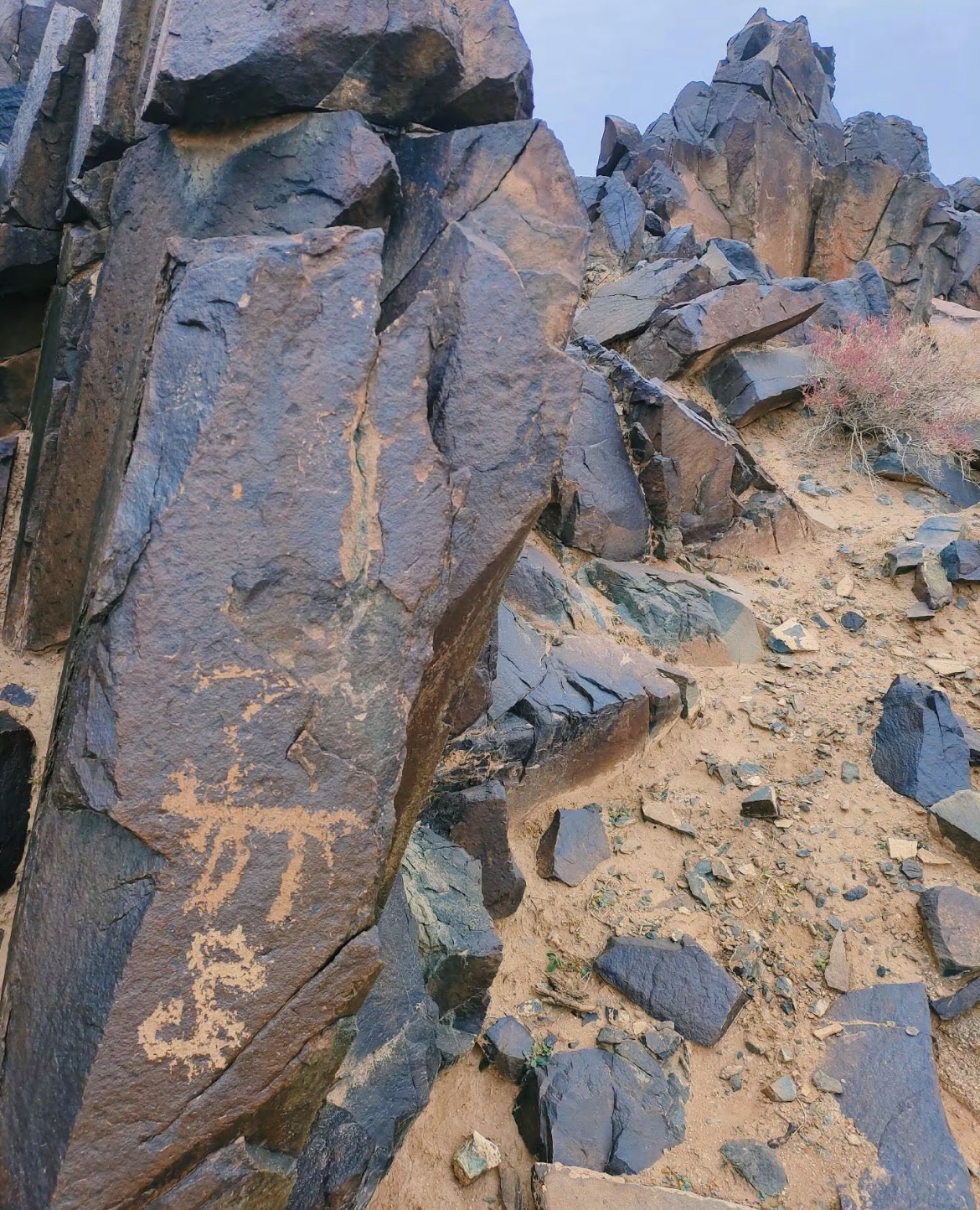 阿拉善右旗曼德拉山岩画景区旅行图片 3