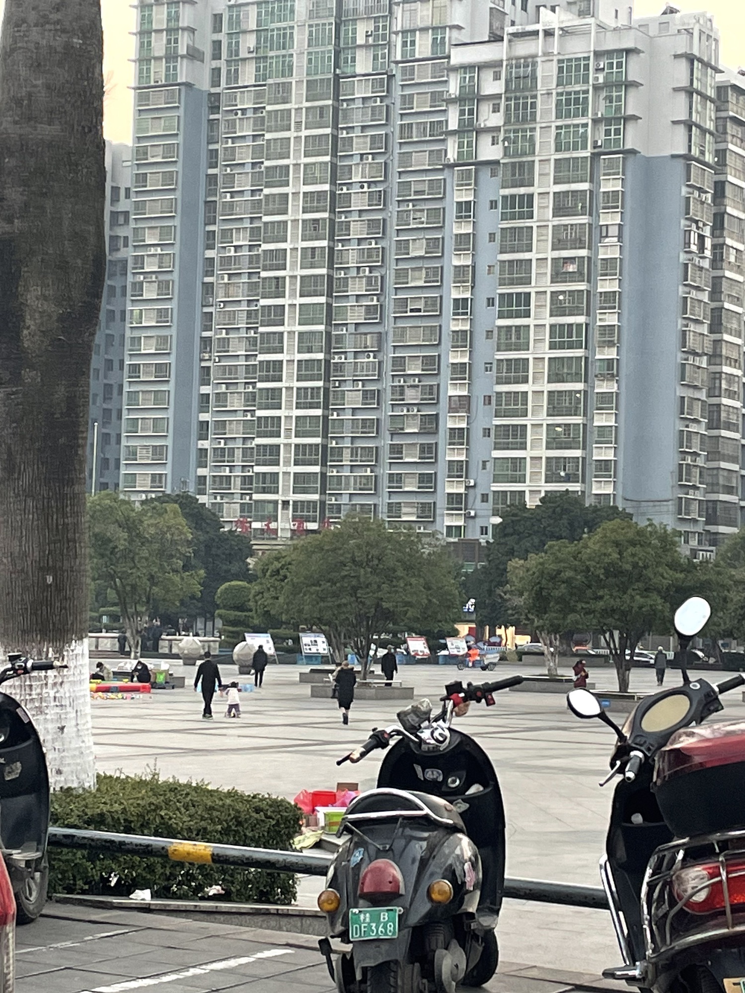 柳江人民文化宫广场旅行图片 2