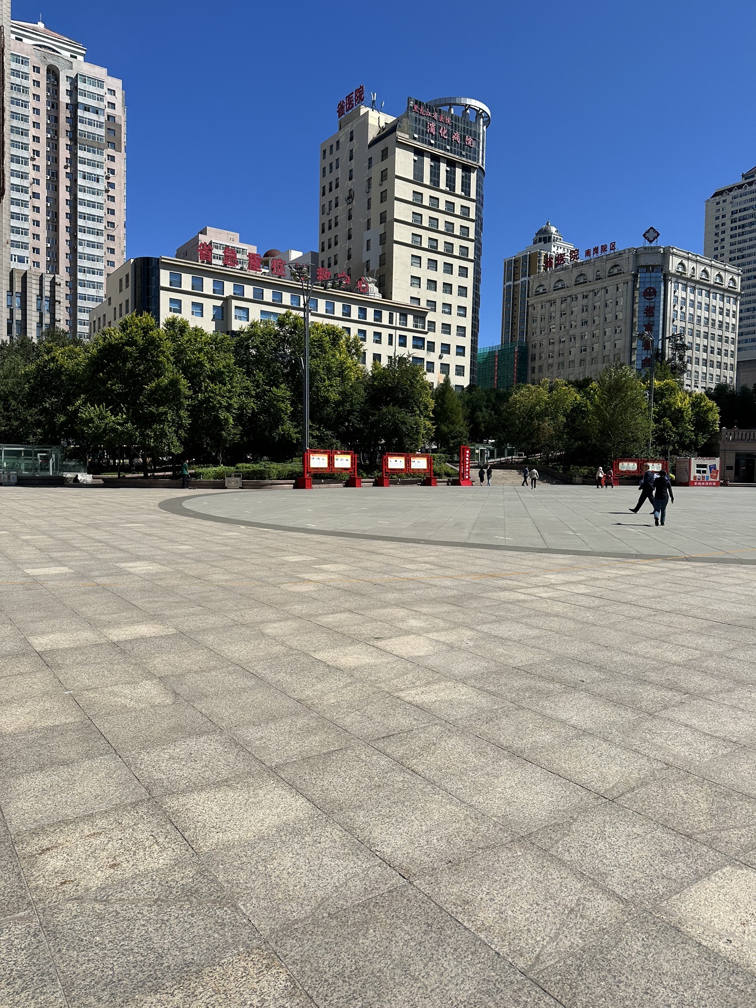 青年广场旅行图片 1