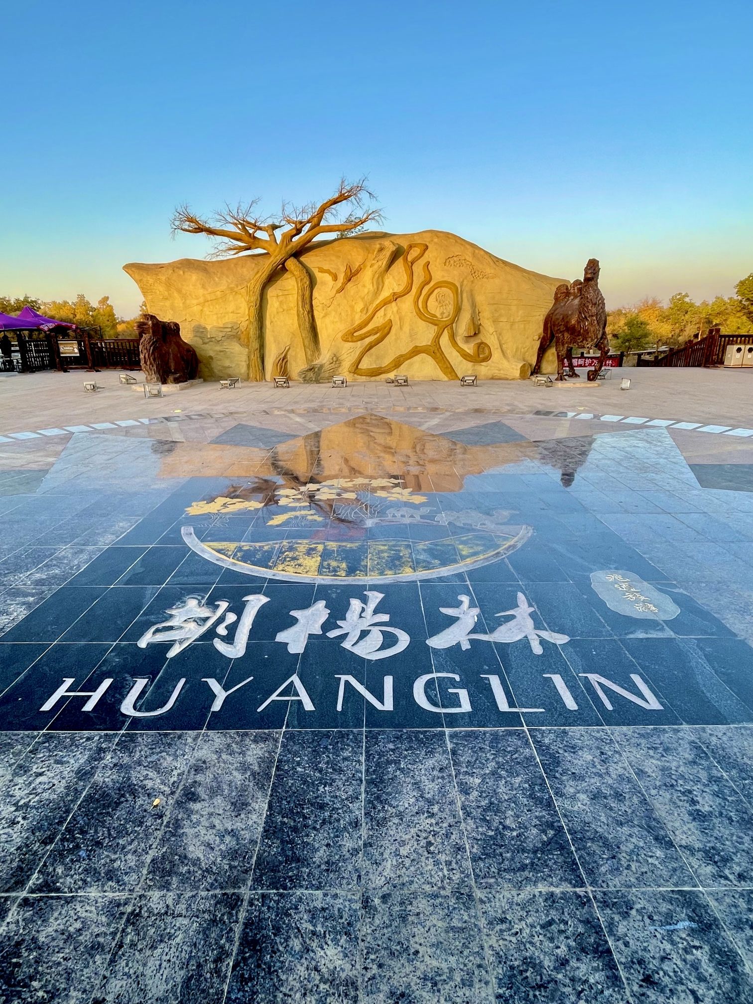 胡杨林 景点照片