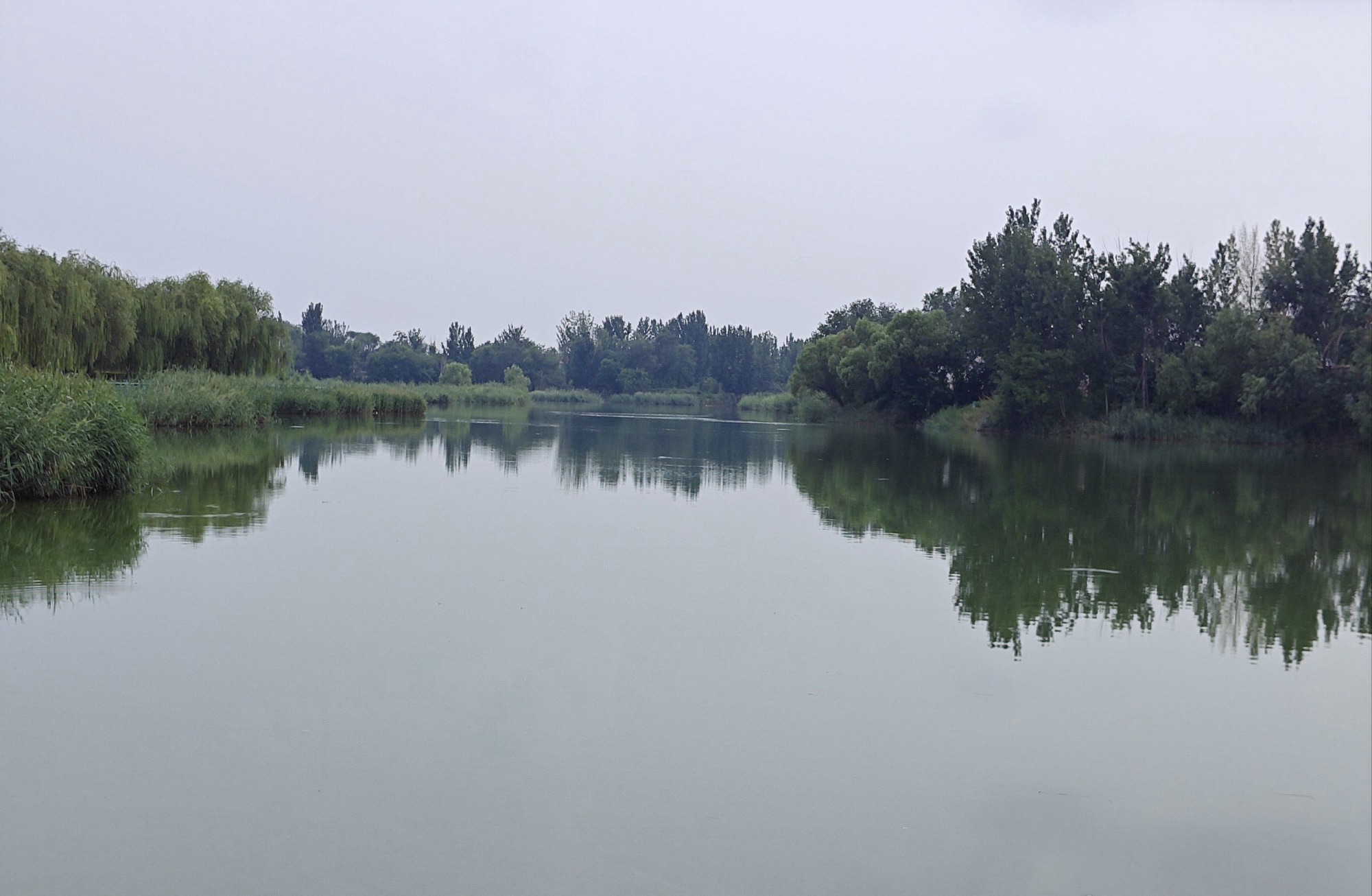 南皮县水上公园旅行图片 1