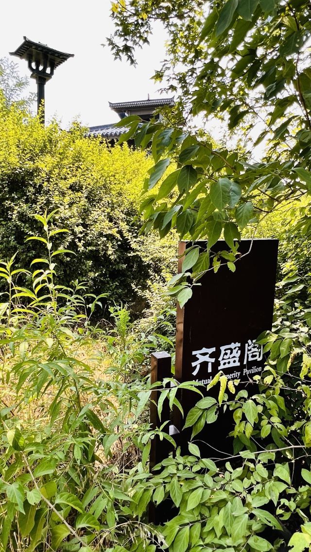 齐盛湖公园旅行图片 1