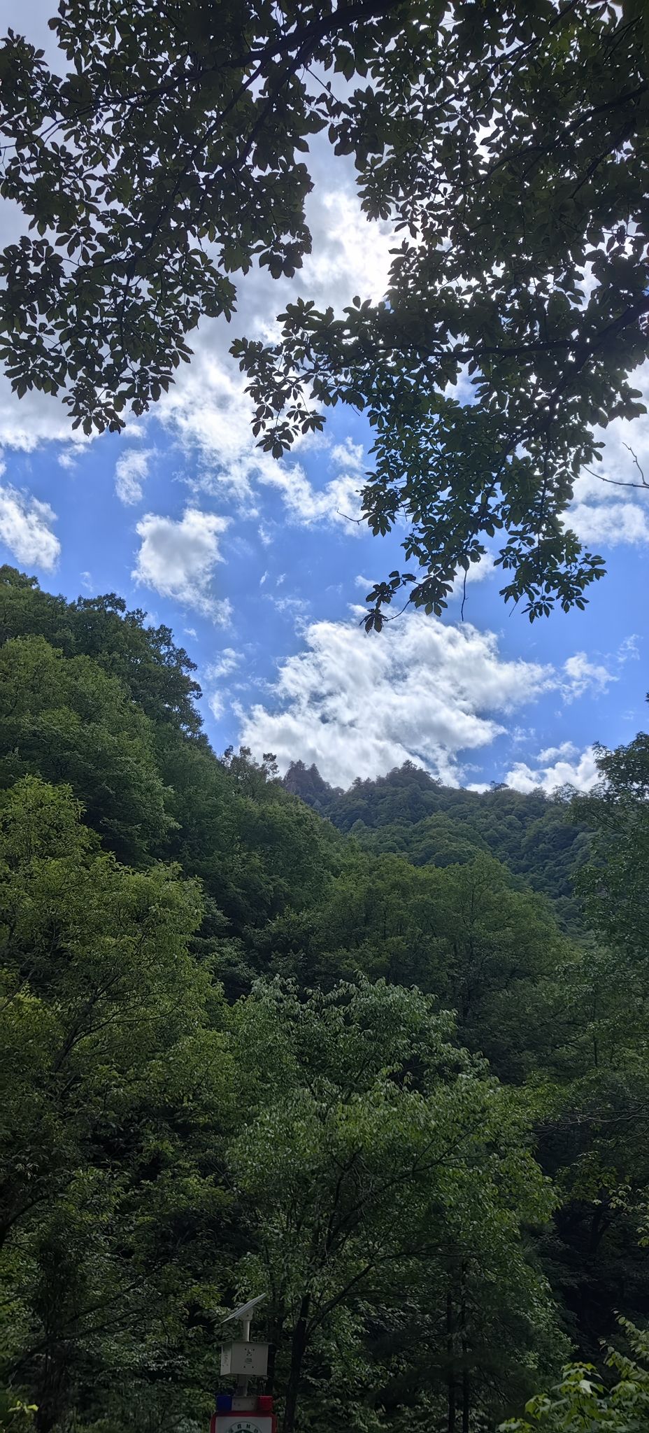 小陇山国家森林公园桃花沟景区