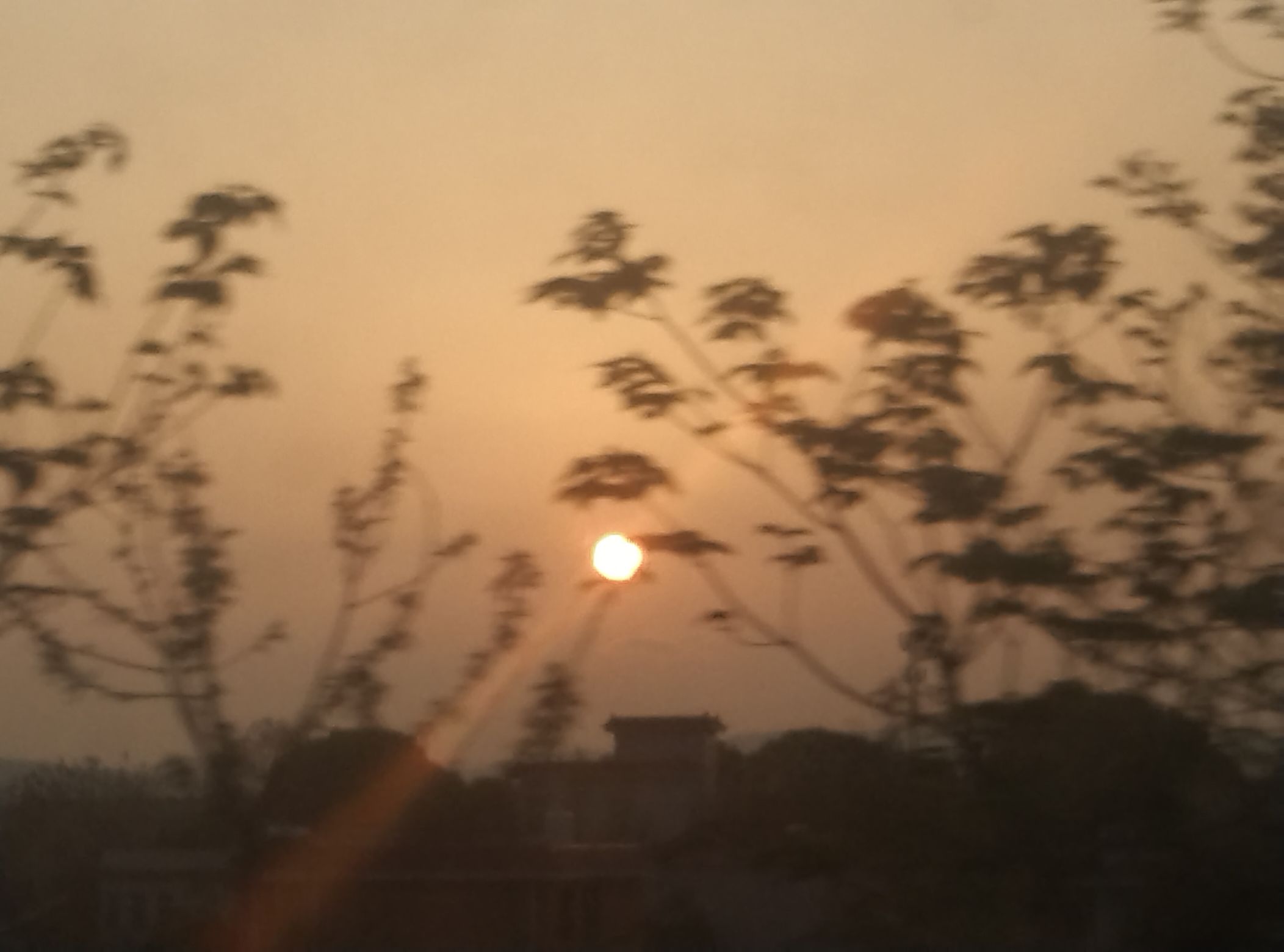 南岭仙旅行图片 2