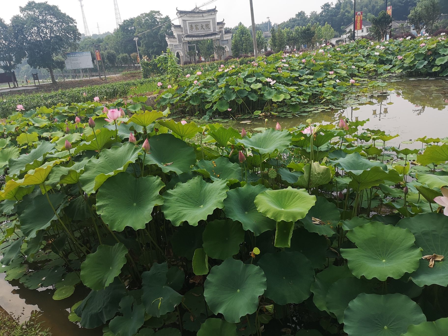 李家大院旅行图片 3