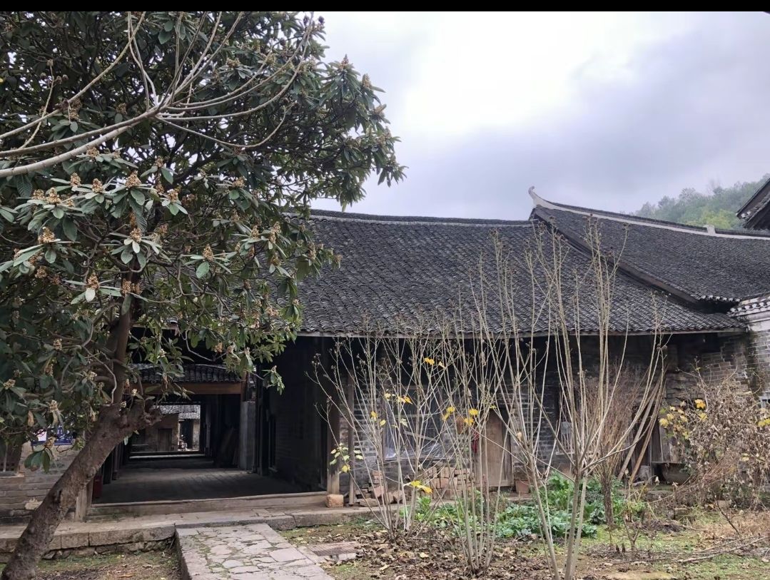 李家大院旅行图片 1