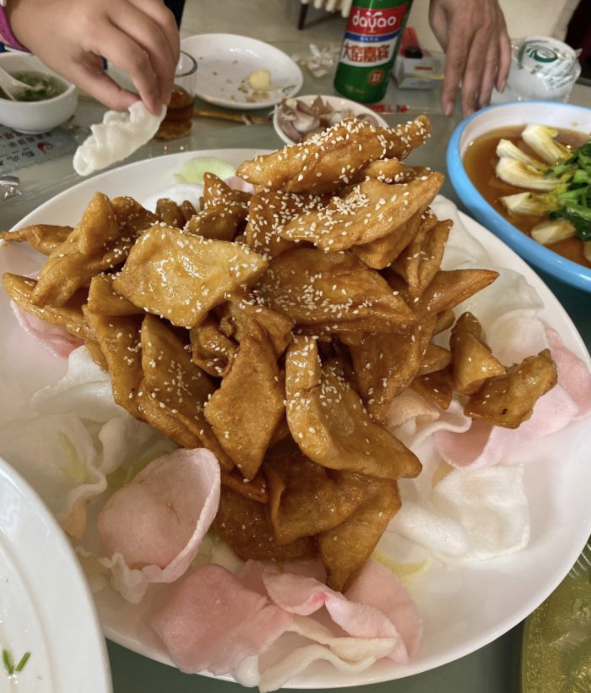 鹤鹤有鸣旅行图片 2