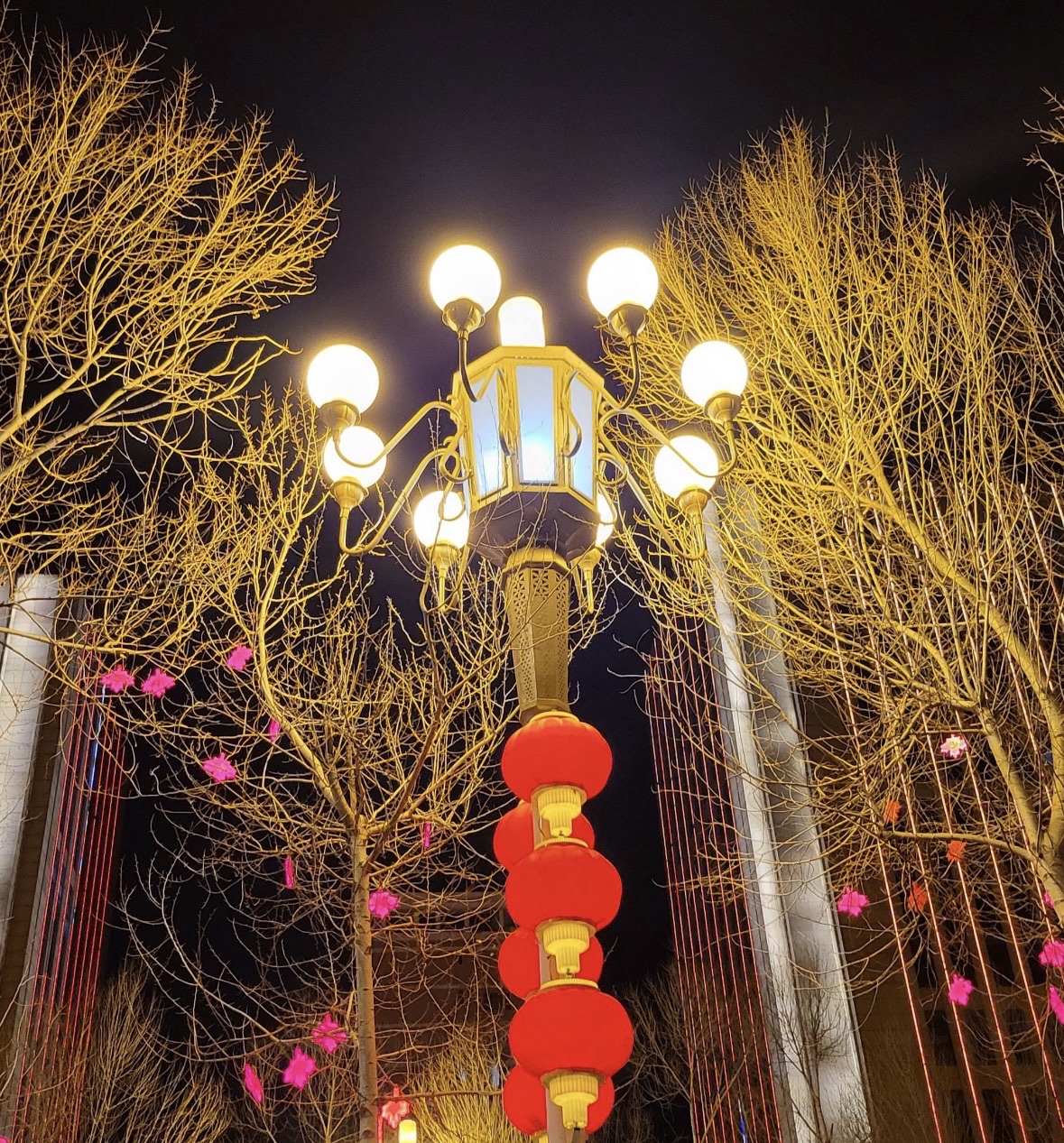 卫星广场旅行图片 3