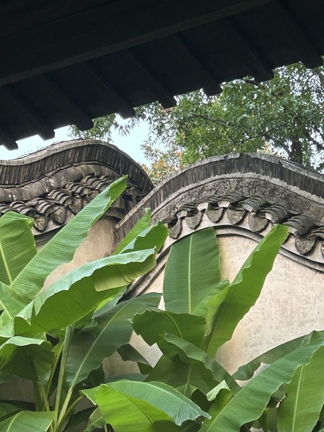 乌镇风景区旅行图片 2