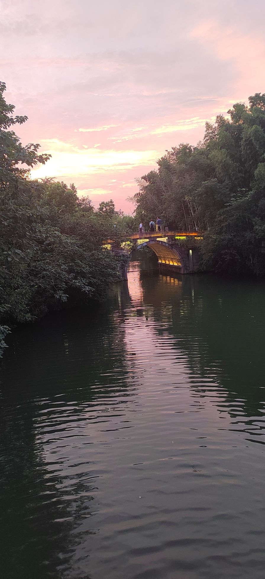 乌镇风景区旅行图片 1