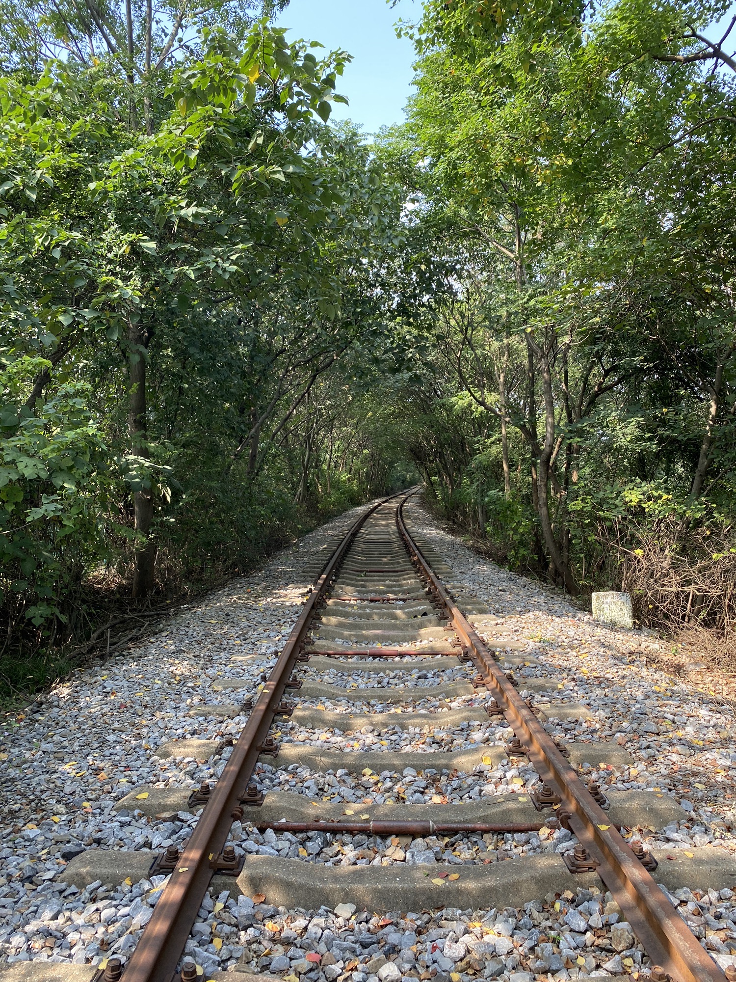 江宁爱情隧道旅行图片 1