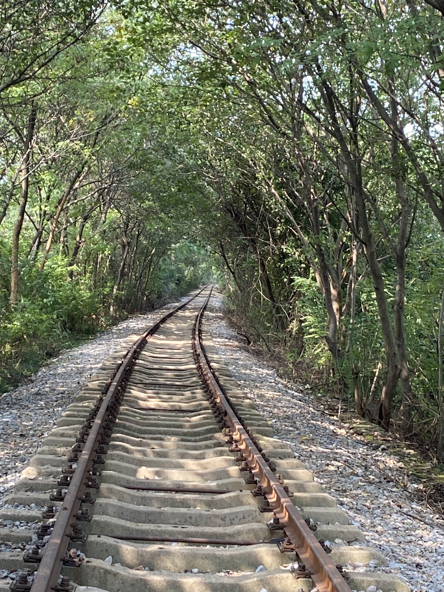 江宁爱情隧道旅行图片 2