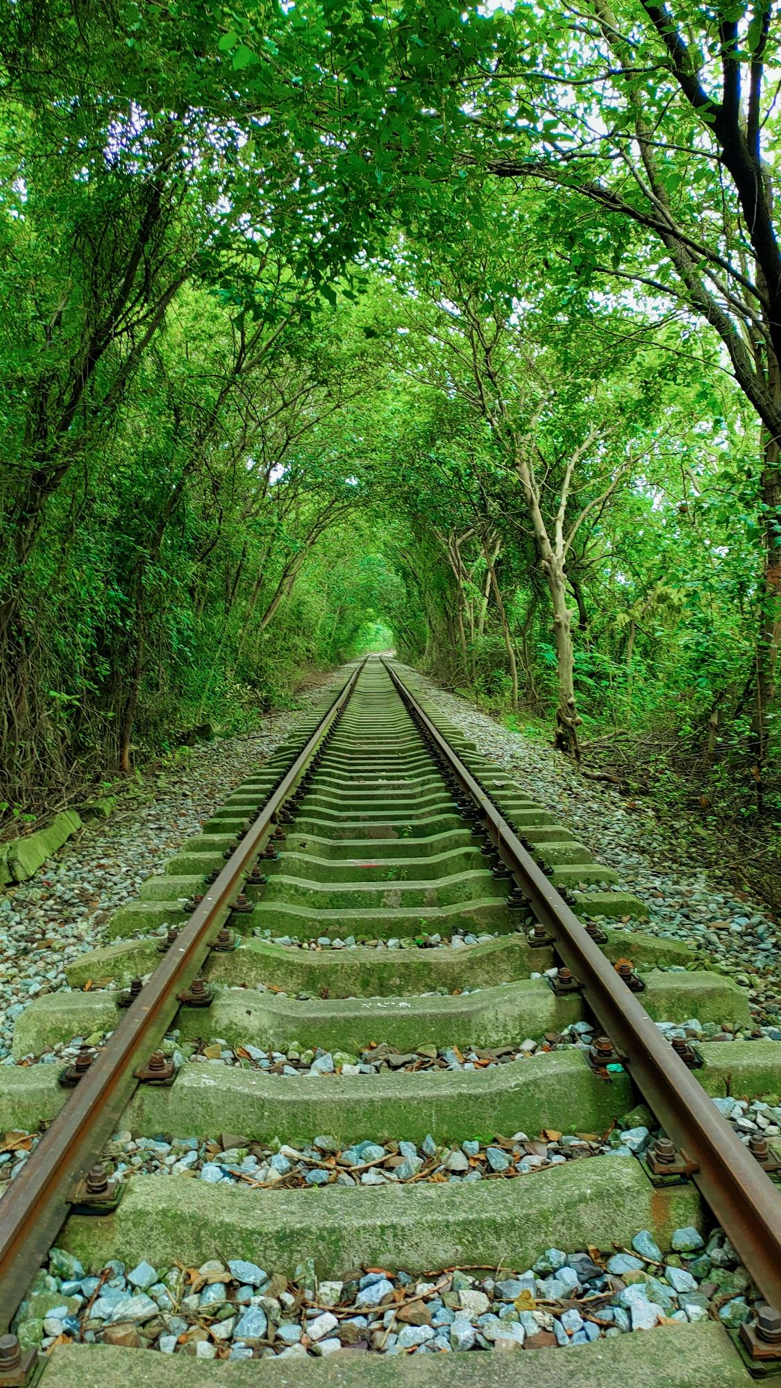 江宁爱情隧道旅行图片 3