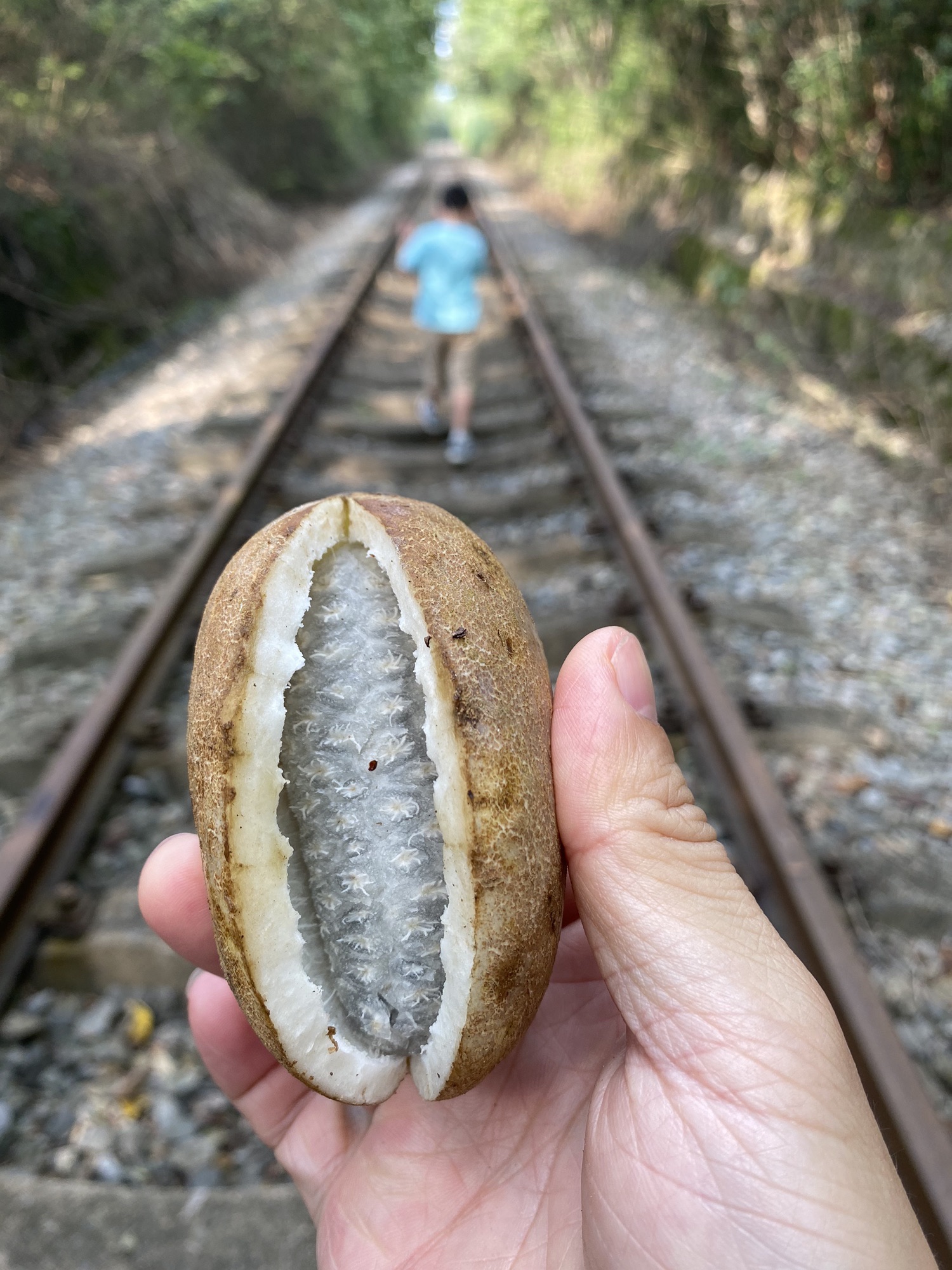 江宁爱情隧道旅行图片 3