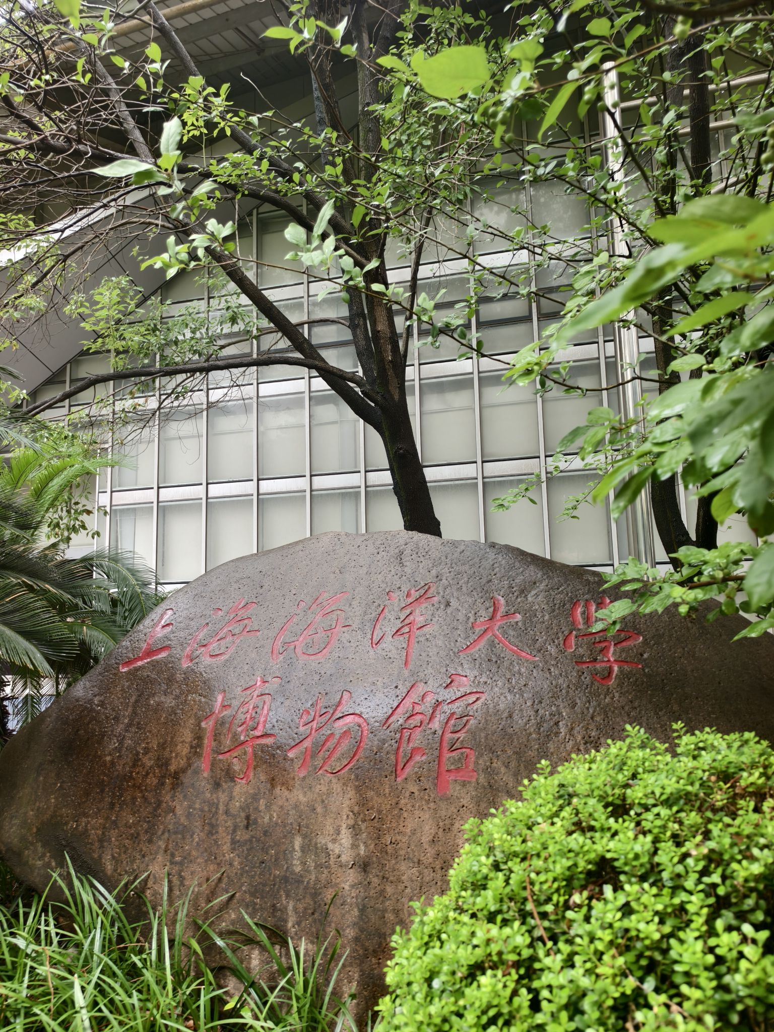上海海洋大学博物馆
