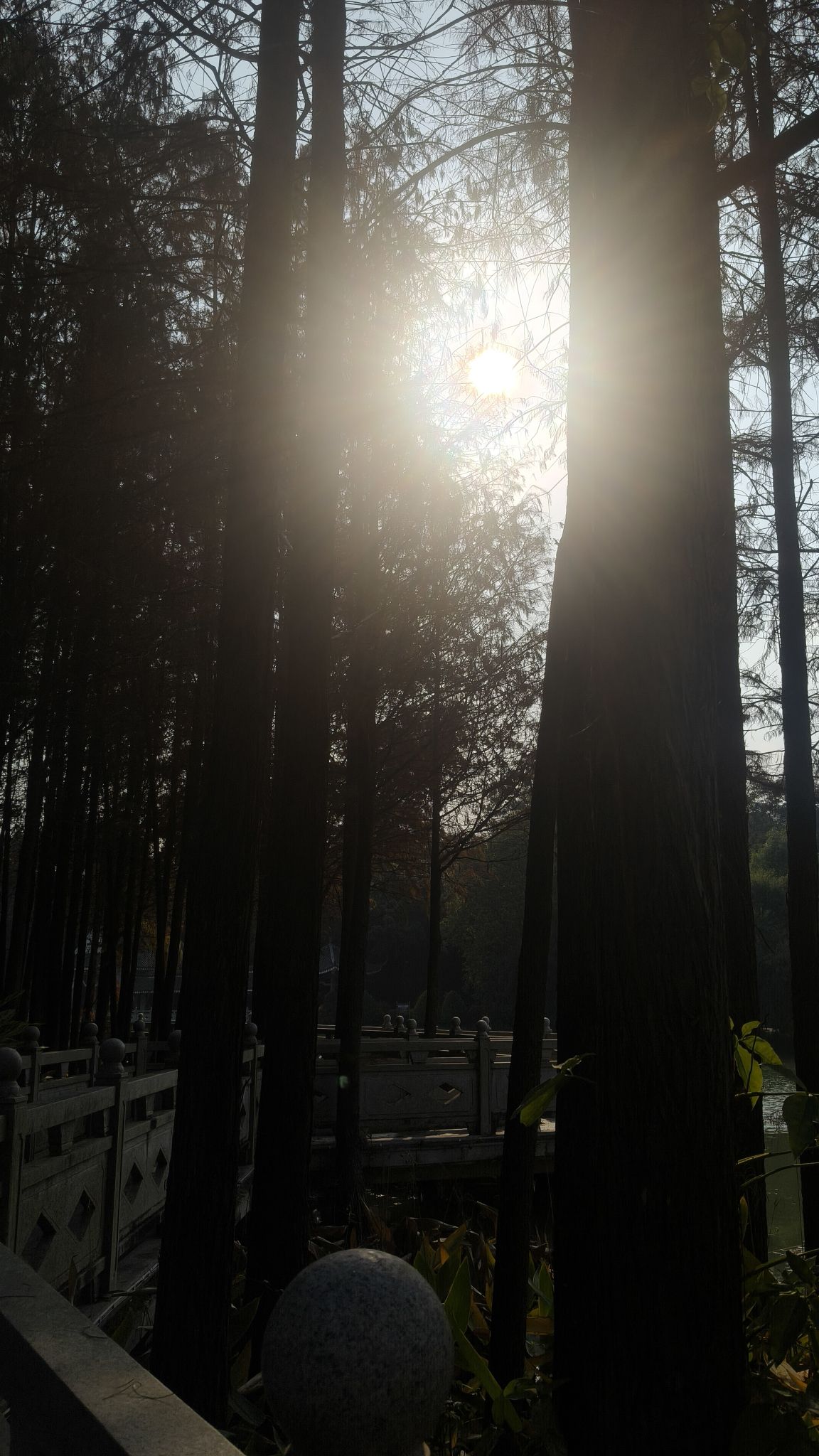 狮山公园旅行图片 3