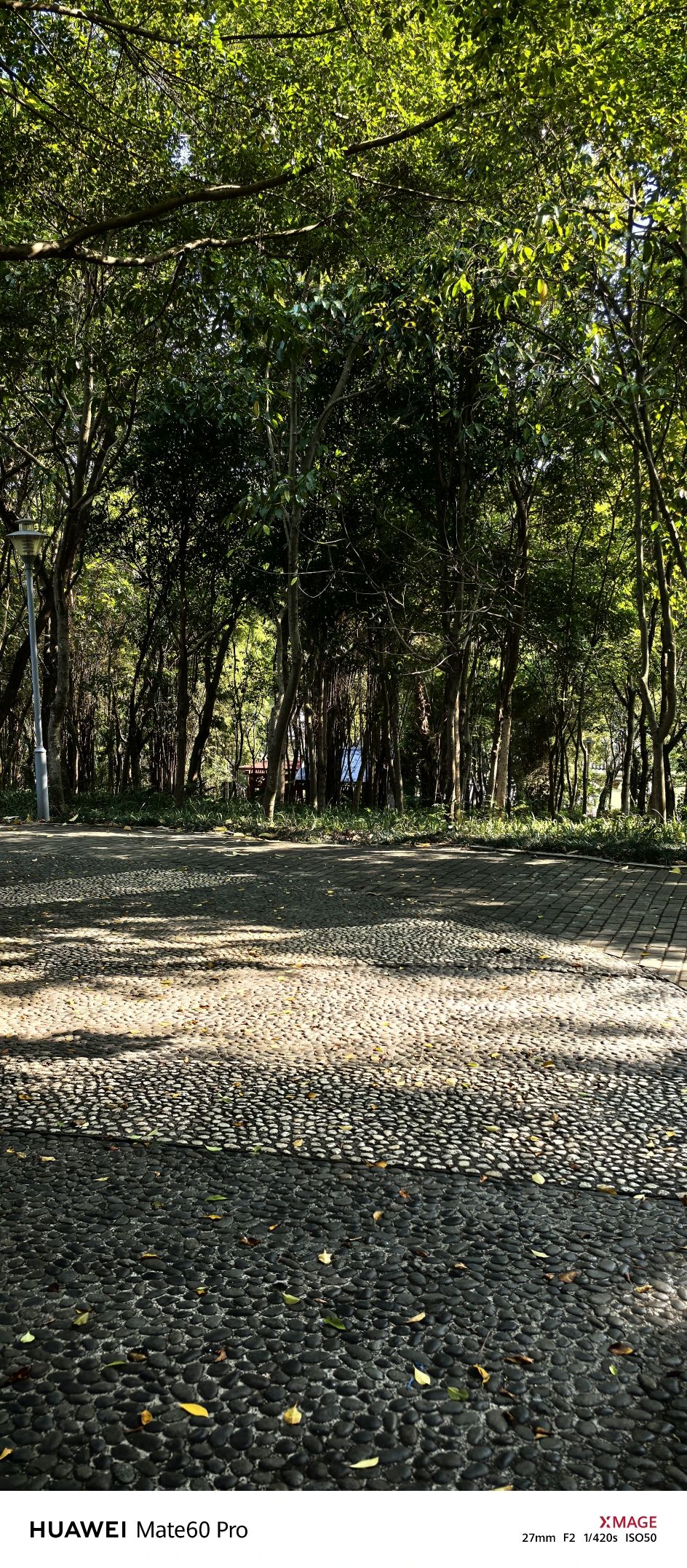 狮山公园旅行图片 1