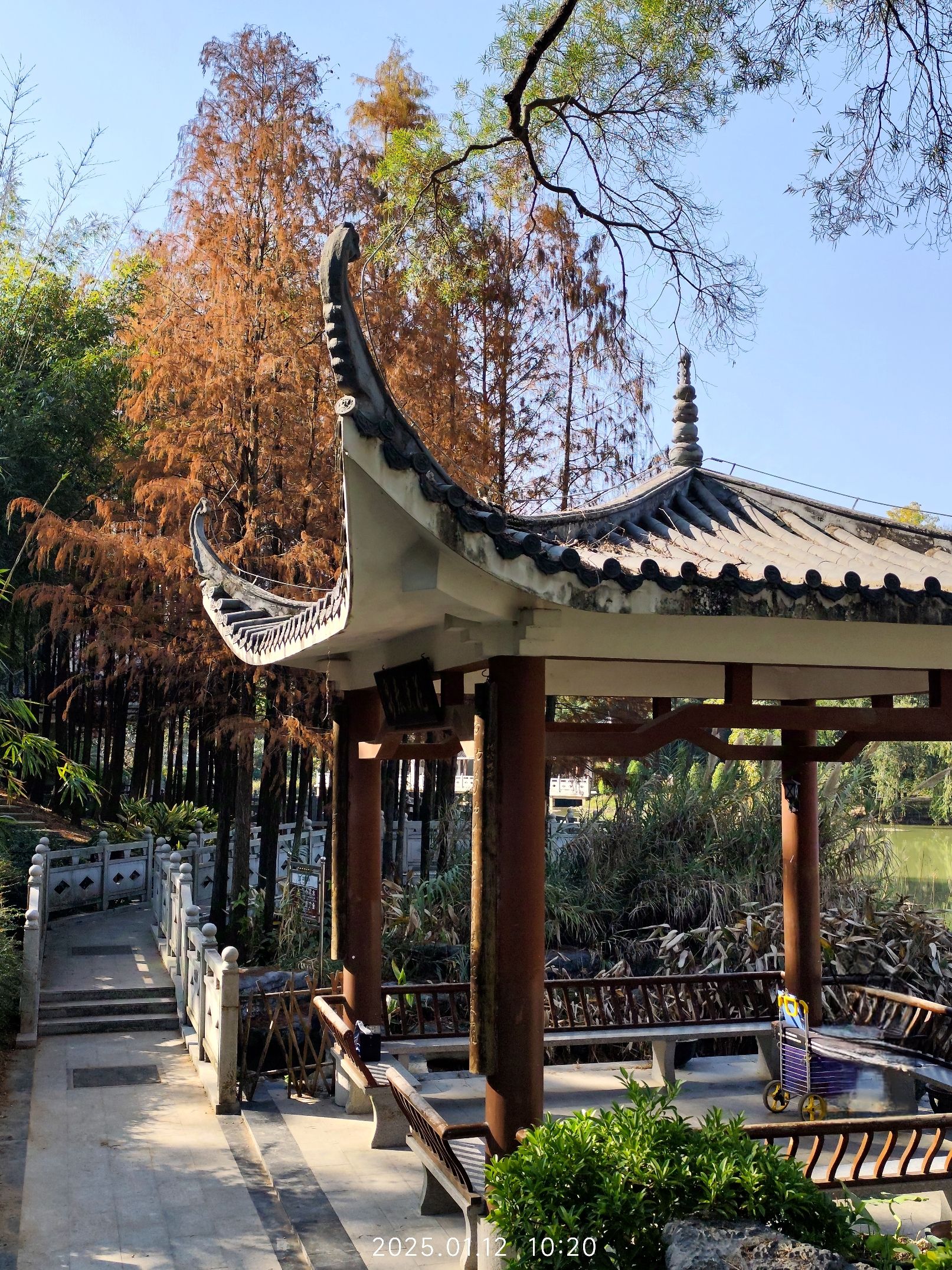 狮山公园旅行图片 3