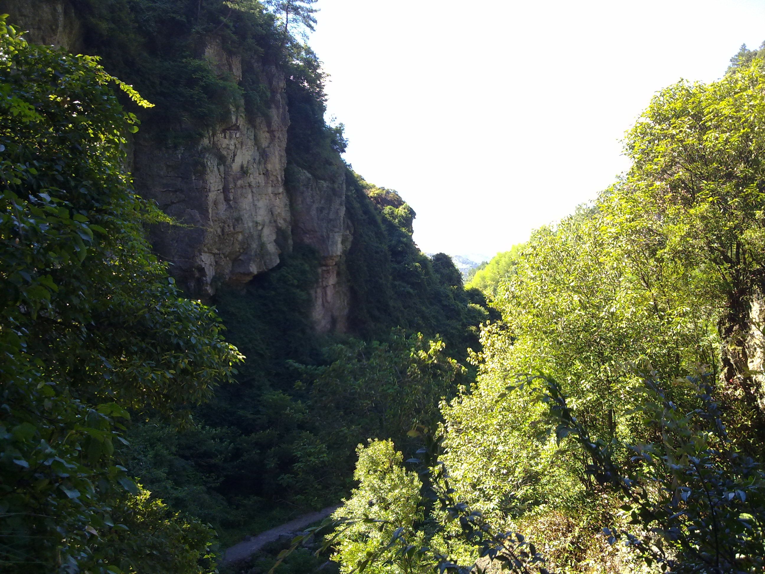 夏霖风景区旅行图片 3