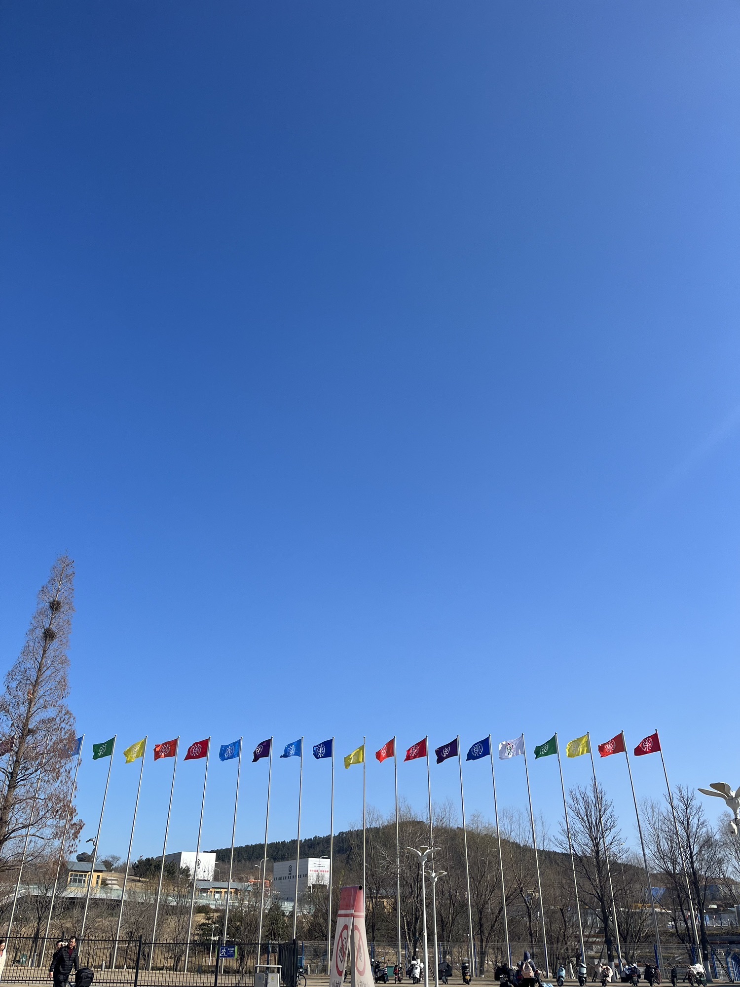 青岛世界园艺博览园旅行图片 1